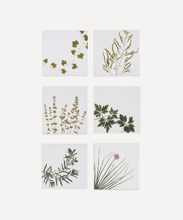 Summerill & Bishop - Herbarium Infusion Cooking Napkin Set of Six