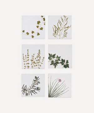 Summerill & Bishop - Herbarium Infusion Cooking Napkin Set of Six image number 0
