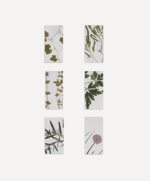 Summerill & Bishop - Herbarium Infusion Cooking Napkin Set of Six image number 3