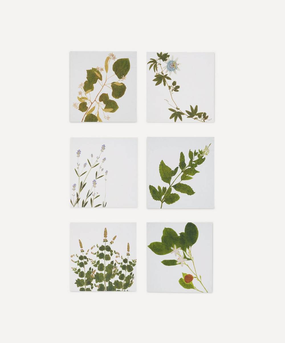 Summerill & Bishop - Herbarium Infusion Napkin Set of Six