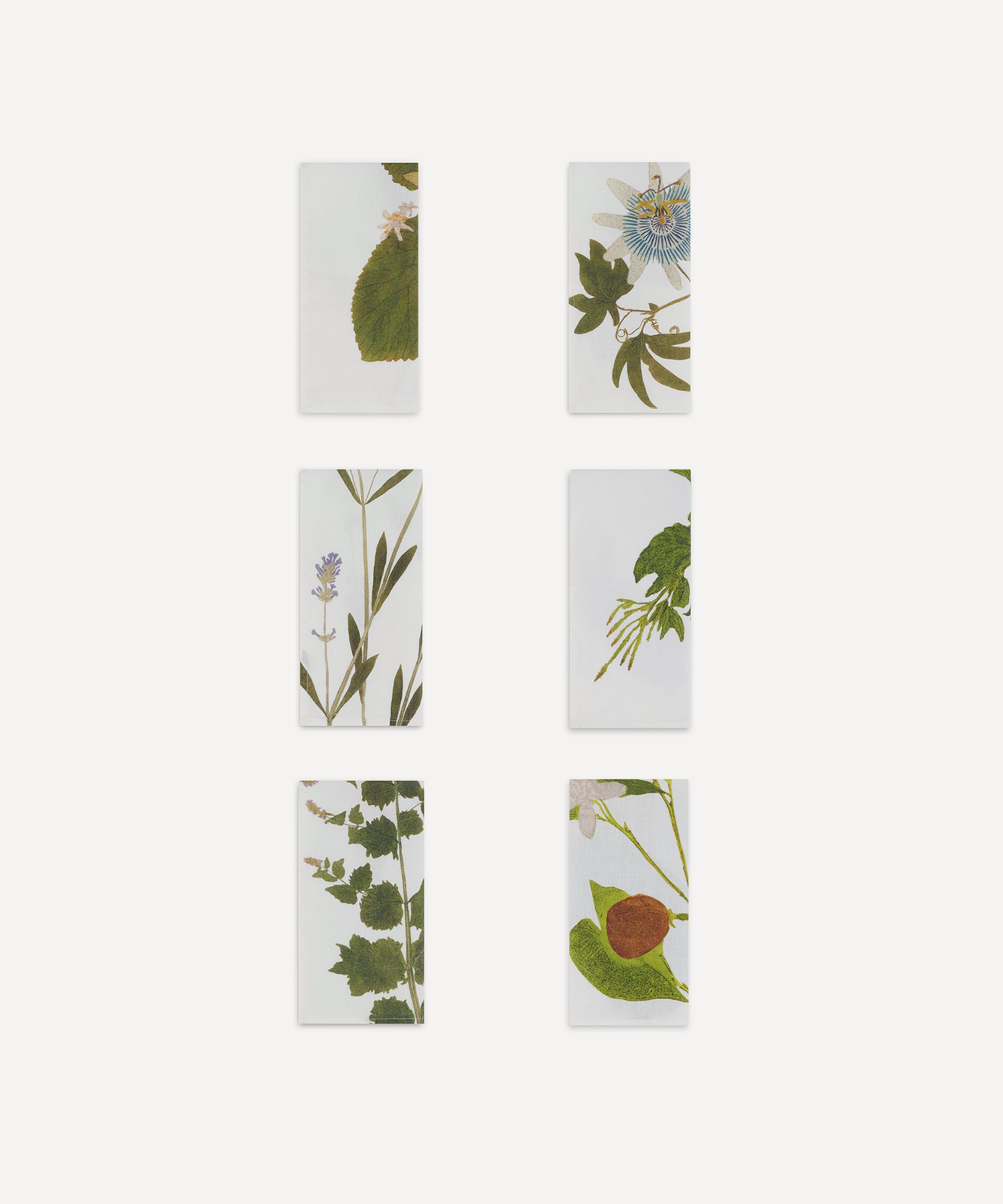 Summerill & Bishop - Herbarium Infusion Napkin Set of Six image number 3