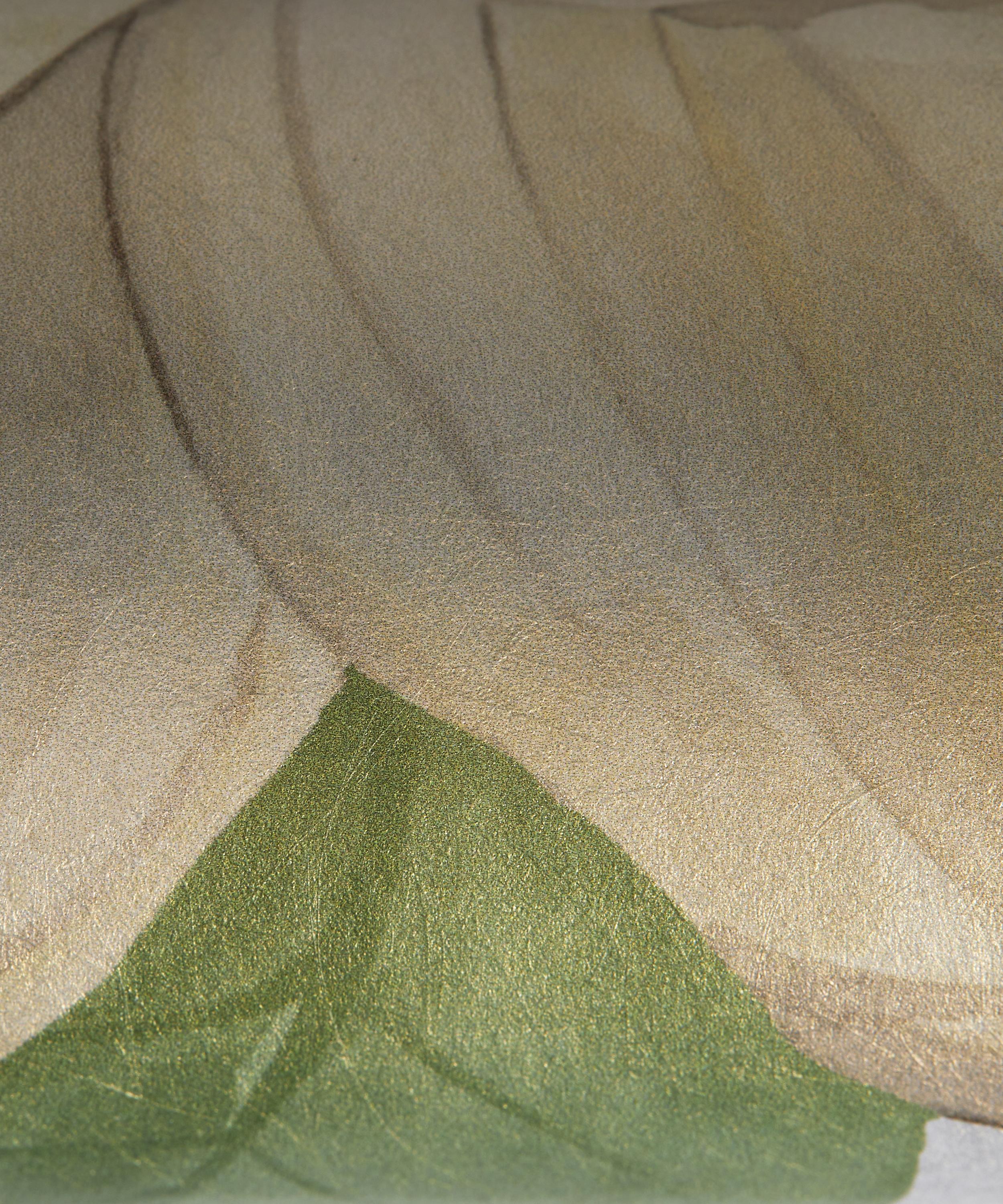 Lichen Brushed Cotton Twill