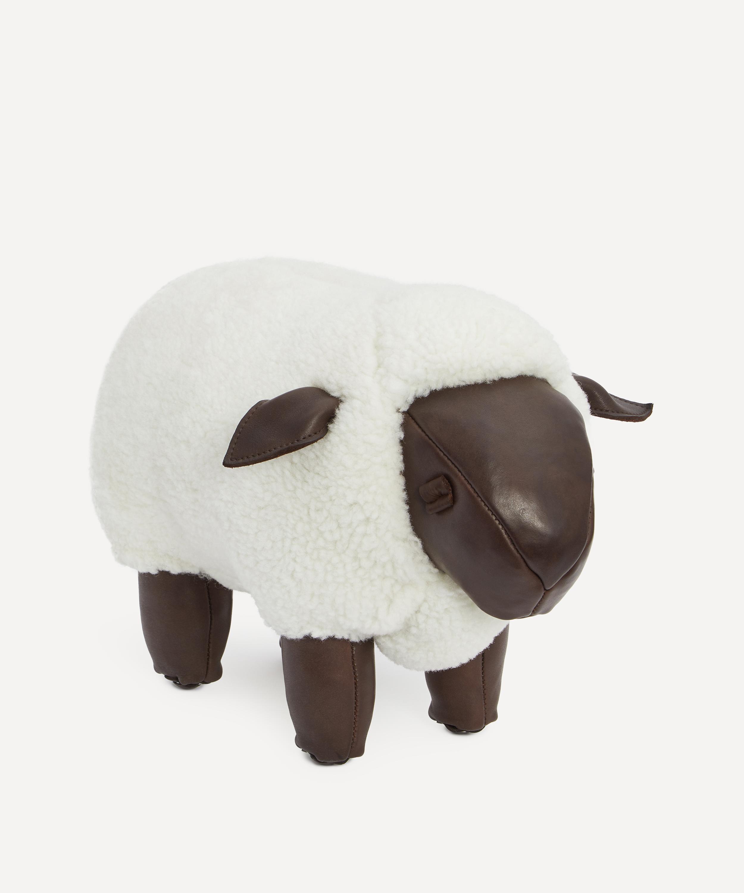 Small black and white sheep