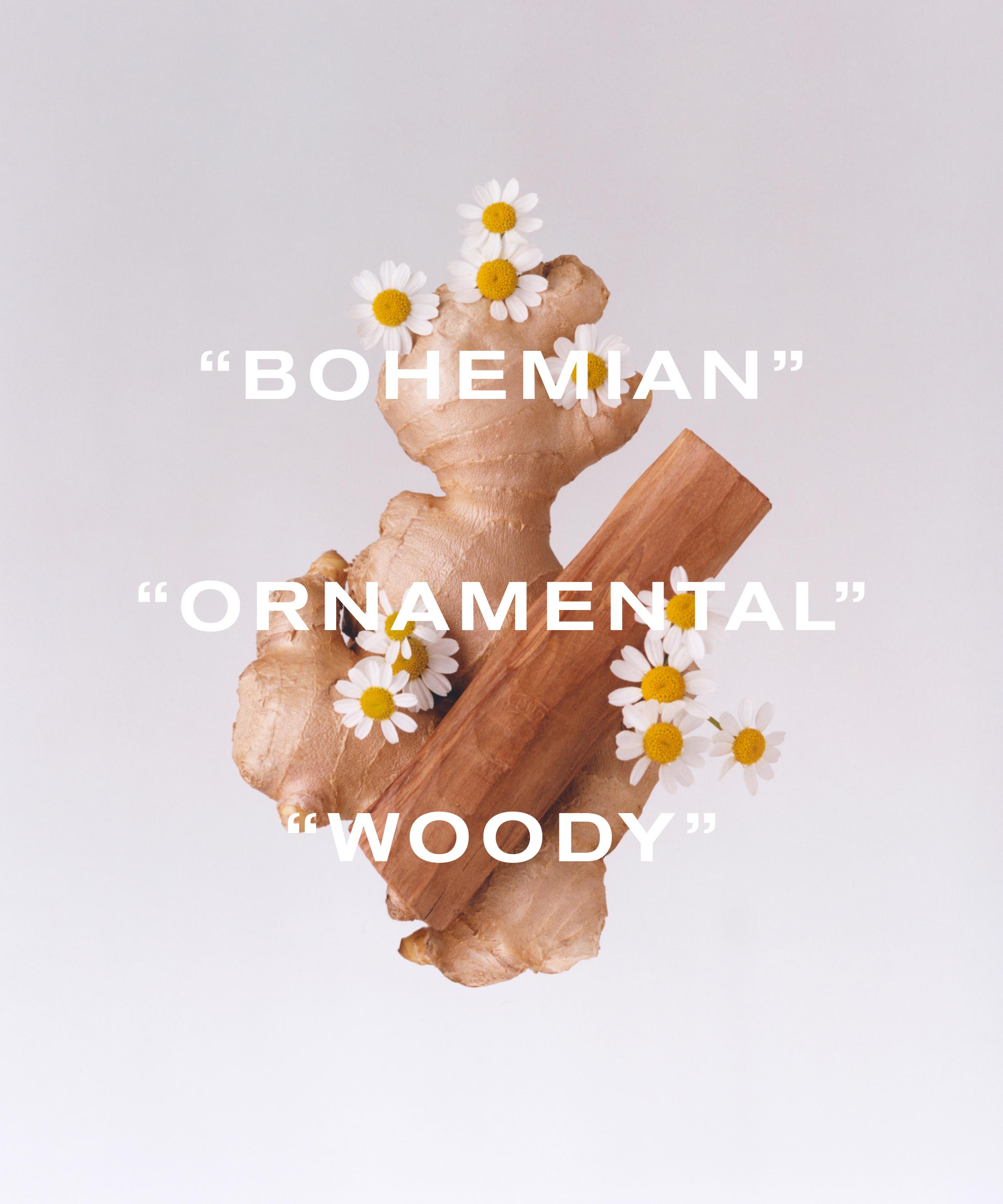 Notes on Accords: with Liberty LBTY. Fragrance’s Tudor