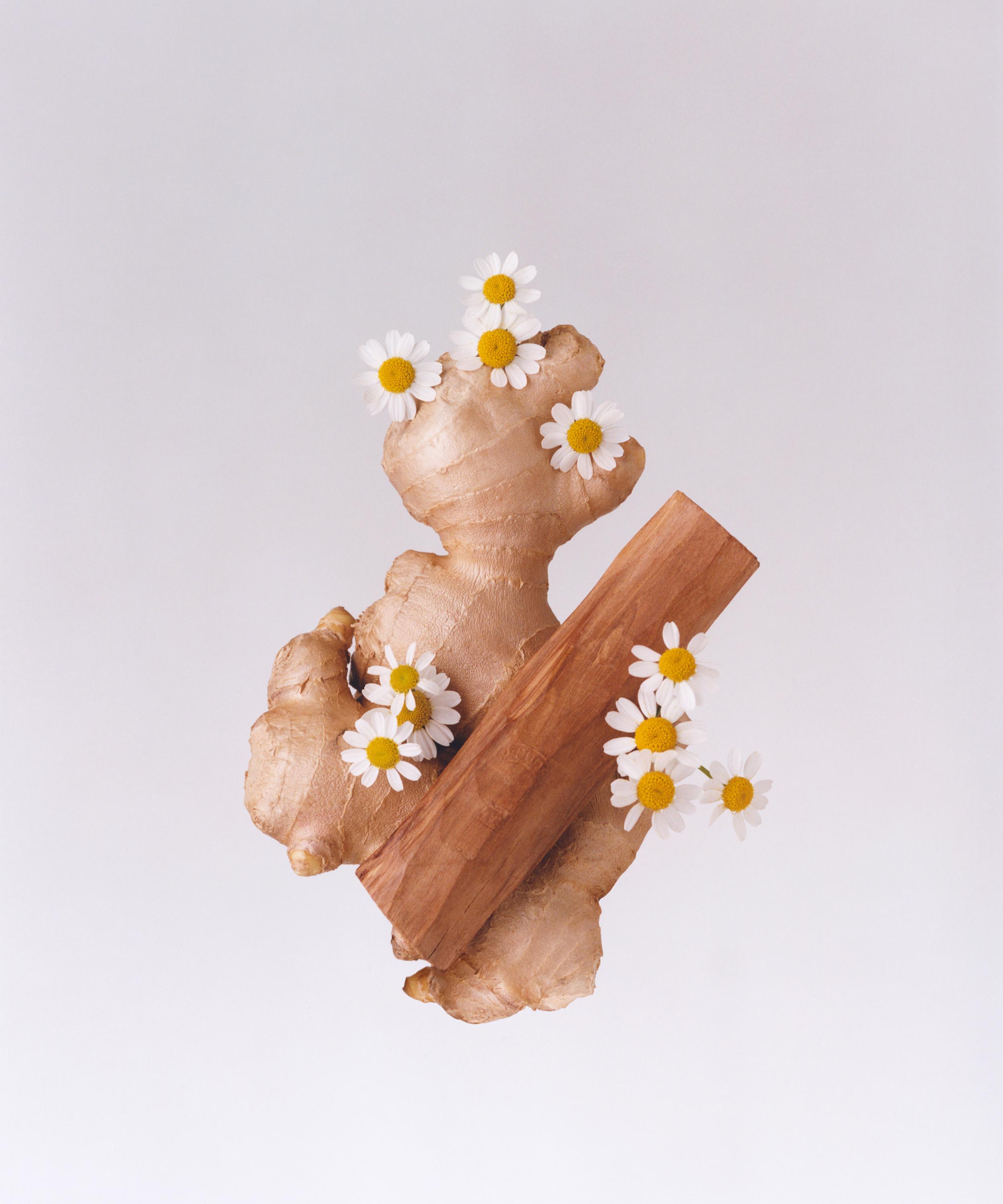 Liberty LBTY. Fragrance Tudor notes