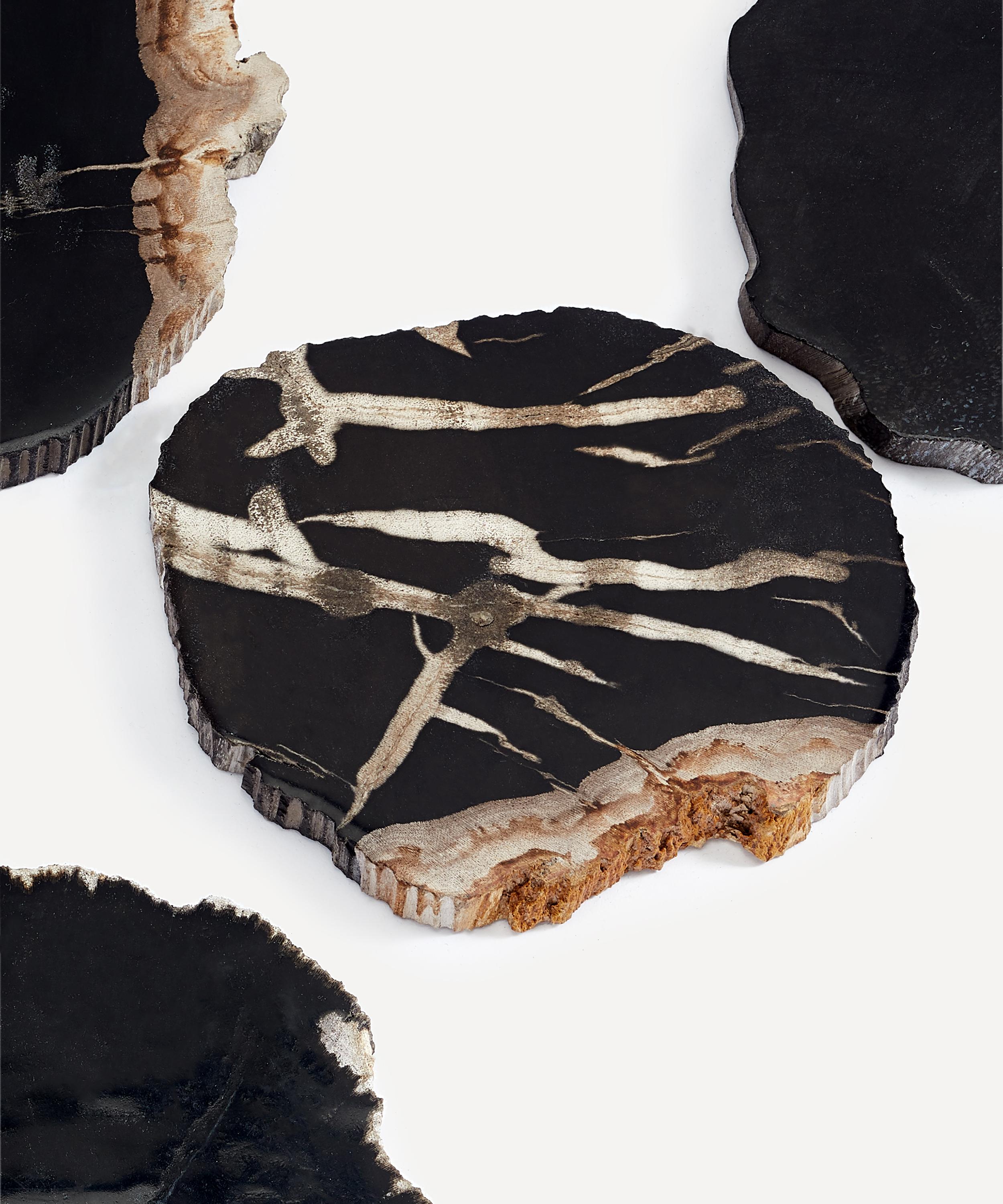 Petrified Wood Drink Coasters (Set of 4)