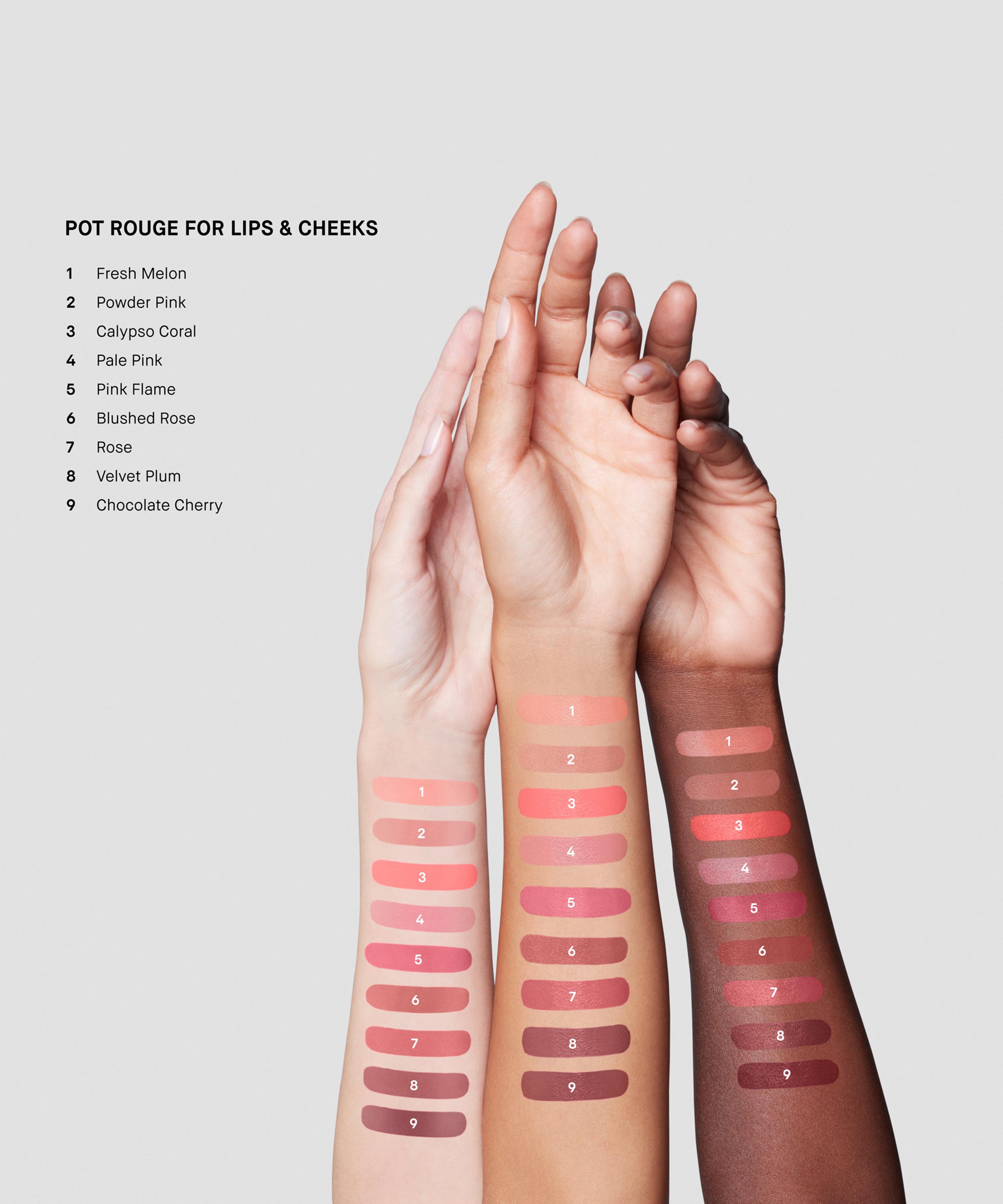 Bobbi Brown - Pot Rouge for Lips and Cheeks 3.7g image number 3