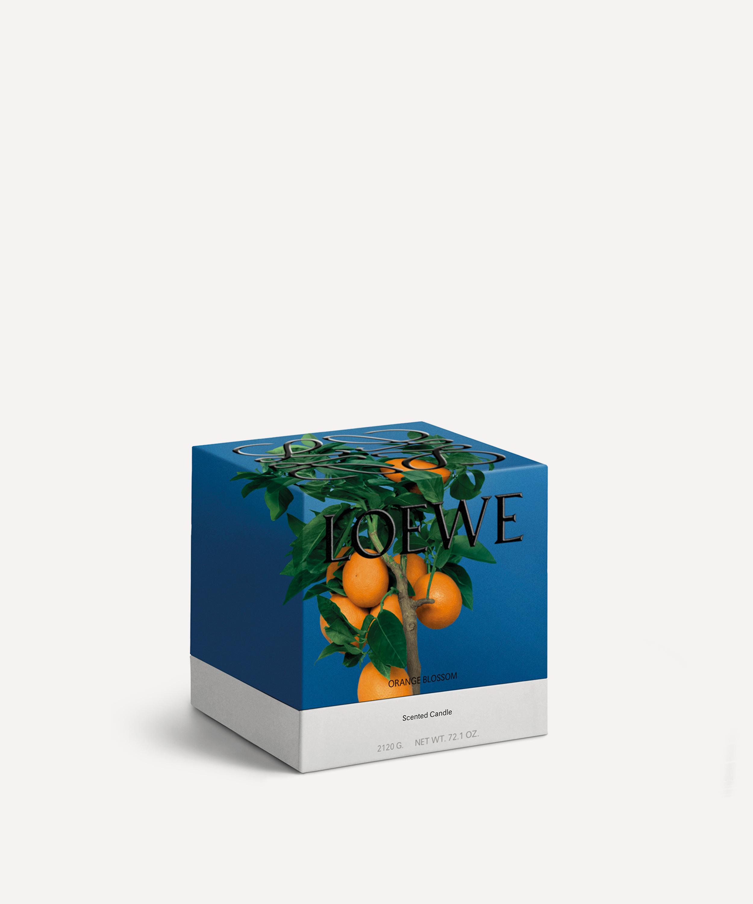 Loewe - Medium Orange Blossom Candle 610g image number 4