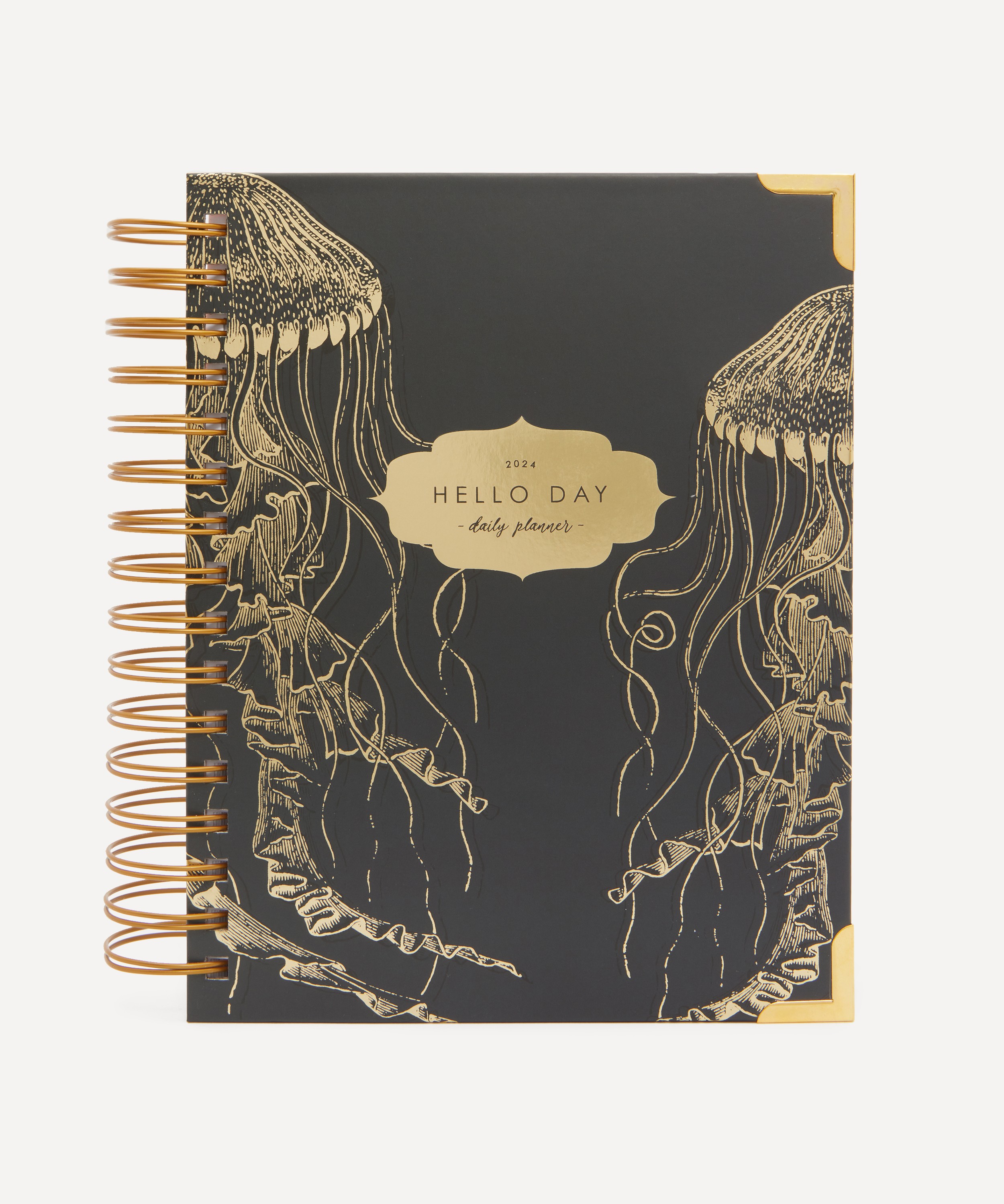 Plan with Me 2024 Bullet Journal Set Up, Year of the Dragon 