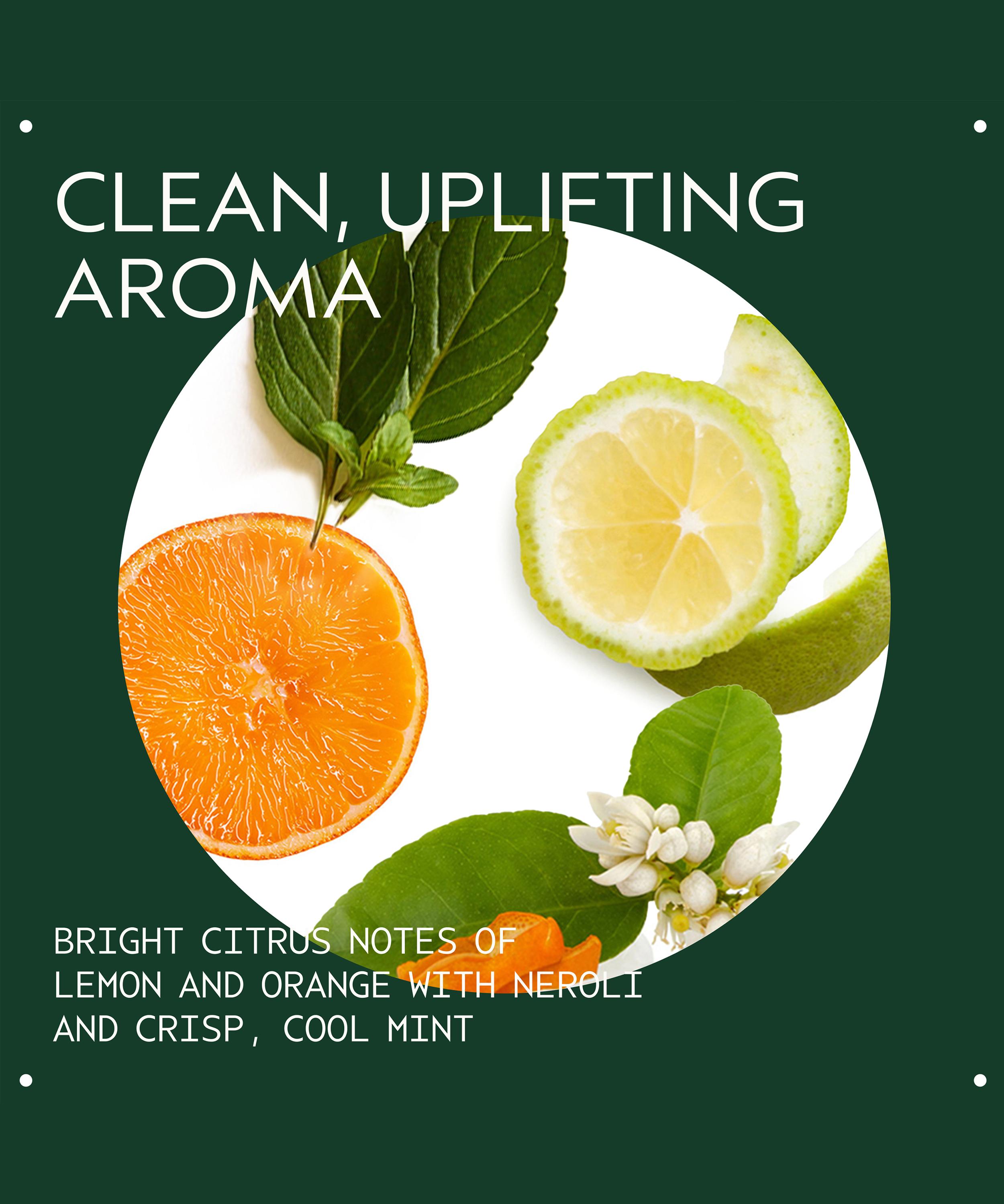 Aveda - Scalp Solutions Balancing Shampoo 1L image number 3