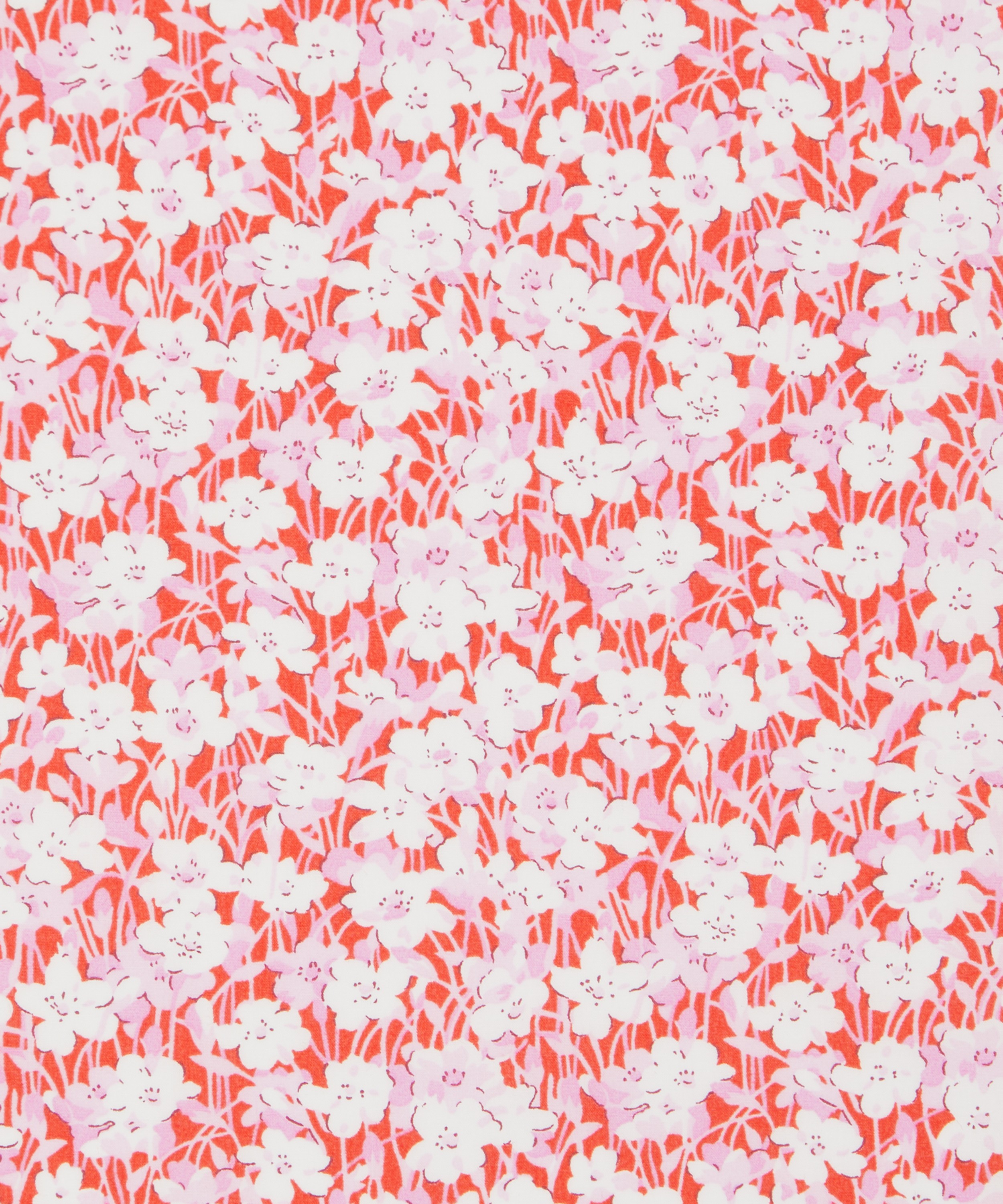 Liberty Fabrics - Eliasson Cotton Poplin image number 0