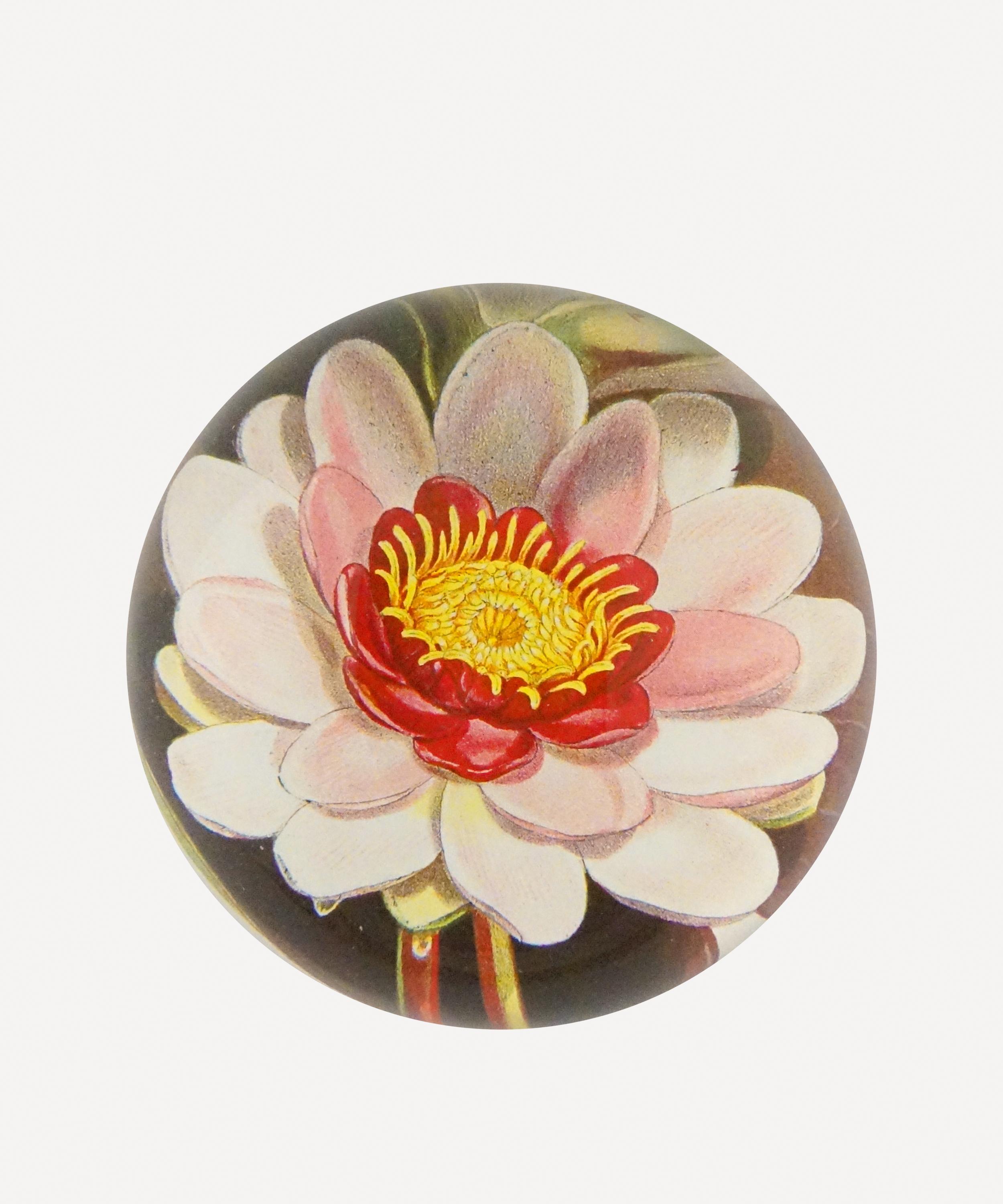 John Derian - Waterlily Dome Paperweight image number 0