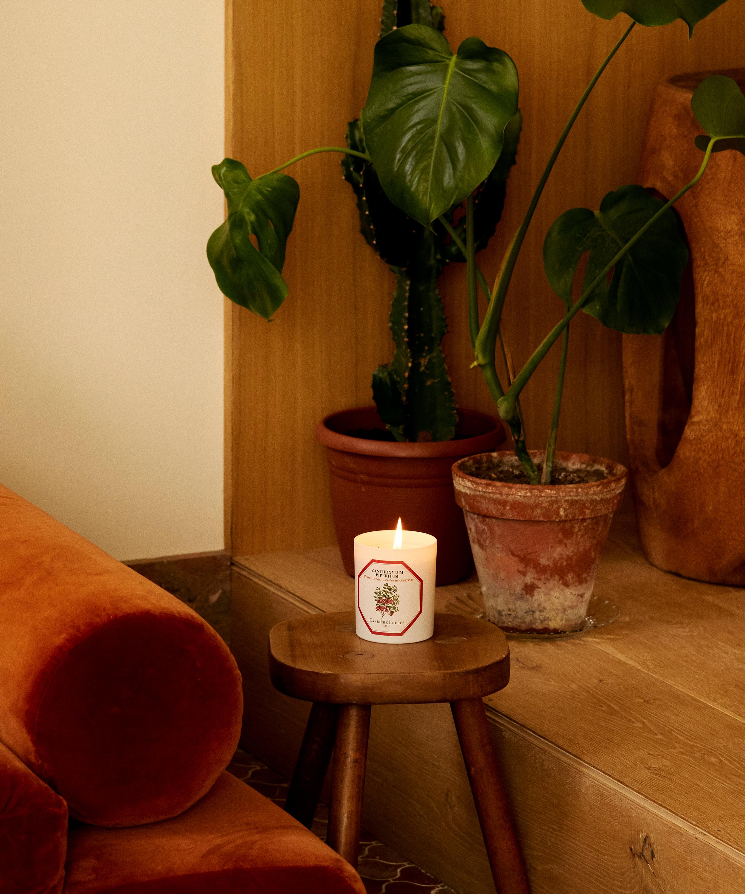 Carrière Frères - Zanthoxylum Piperitum Sichuan Pepper Candle 185g image number 2