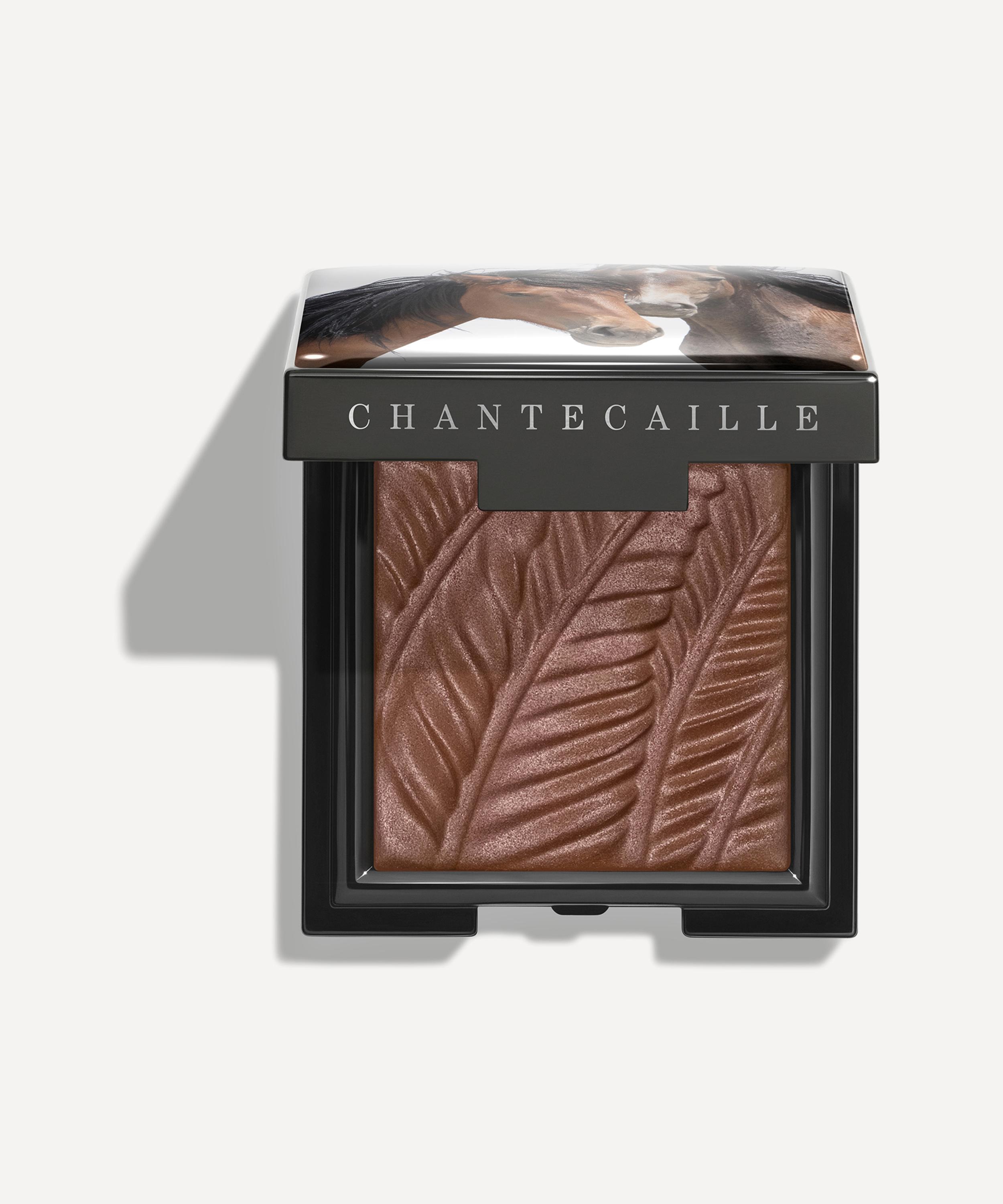 Chantecaille - Matte Eye Shade Wild Mustang Collection 2.5g image number 0