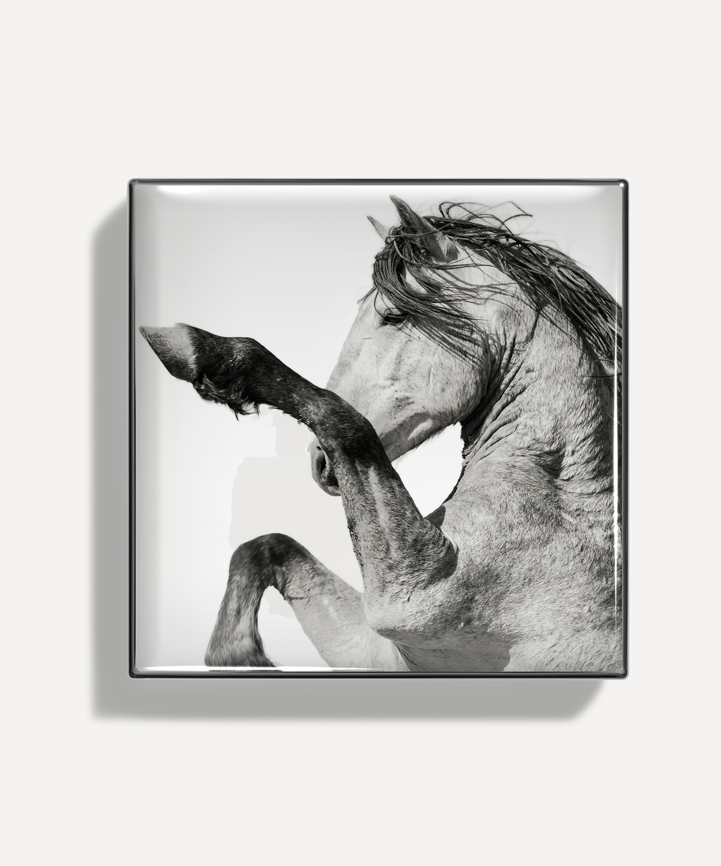 Chantecaille - Luminescent Eye Shade Wild Mustang Collection 2.5g image number 3