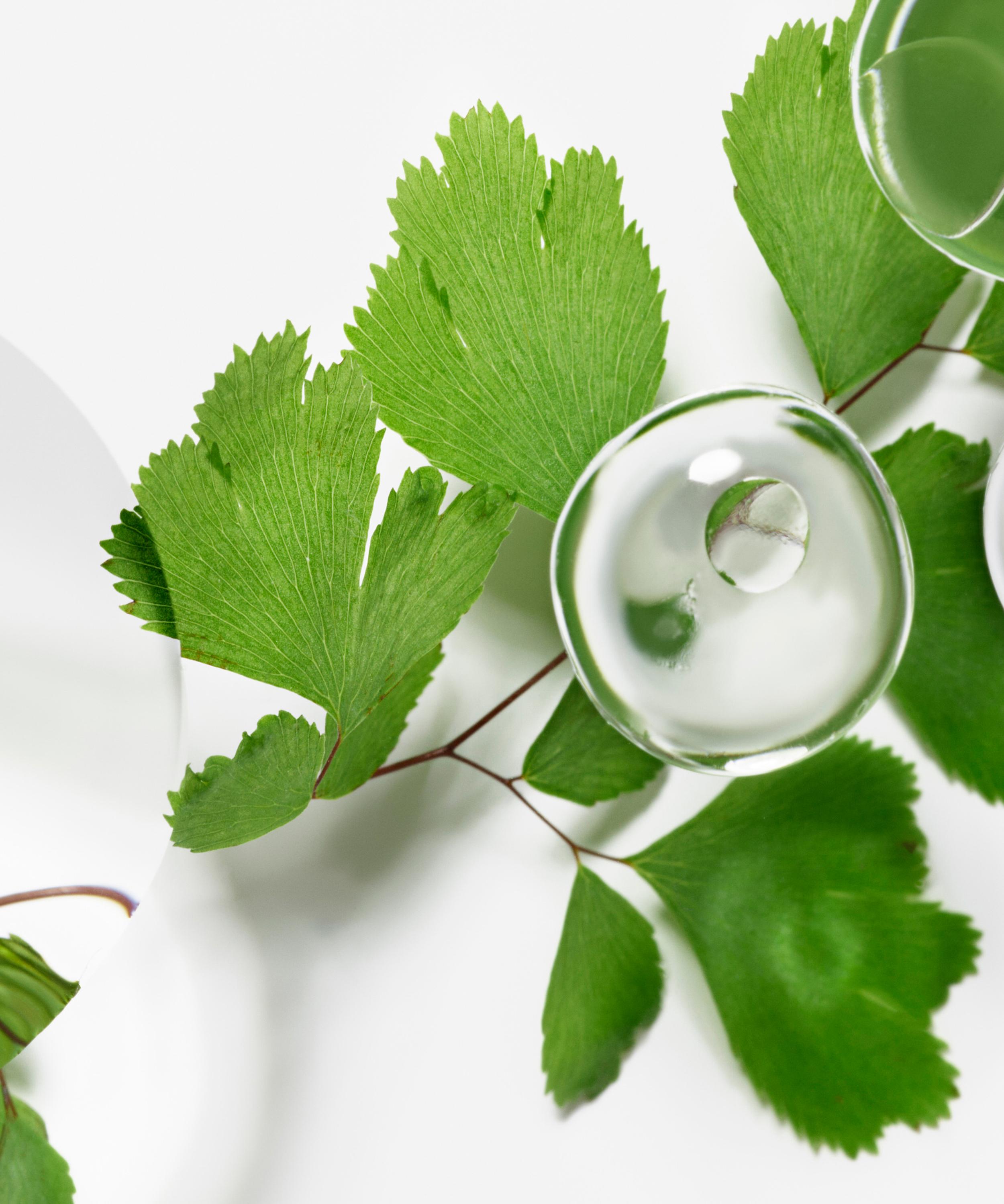 Sisley Paris - Ecological Compound Advanced Formula Limited Edition 125ml image number 2