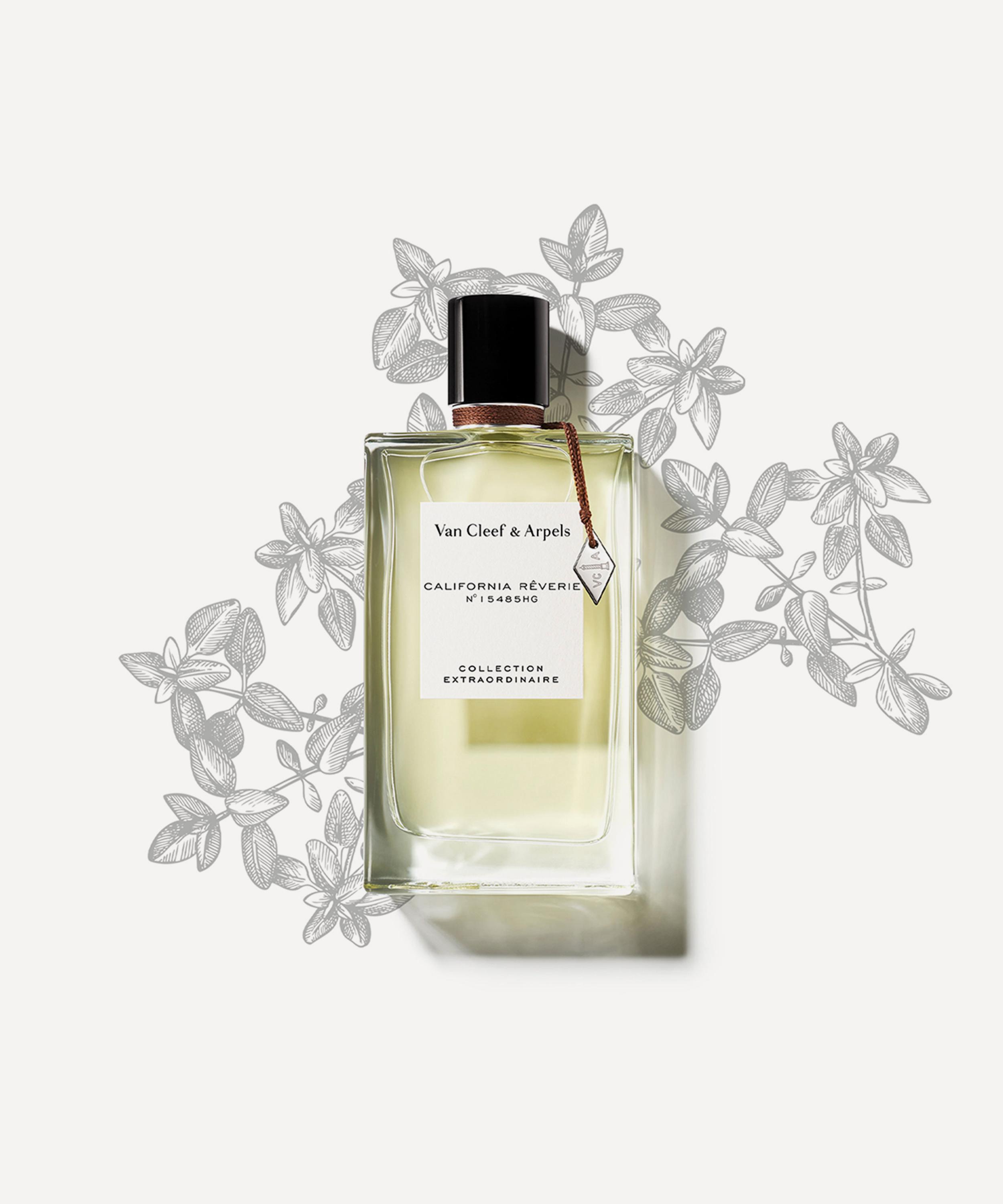 FRAGRANCE REVERIES - News