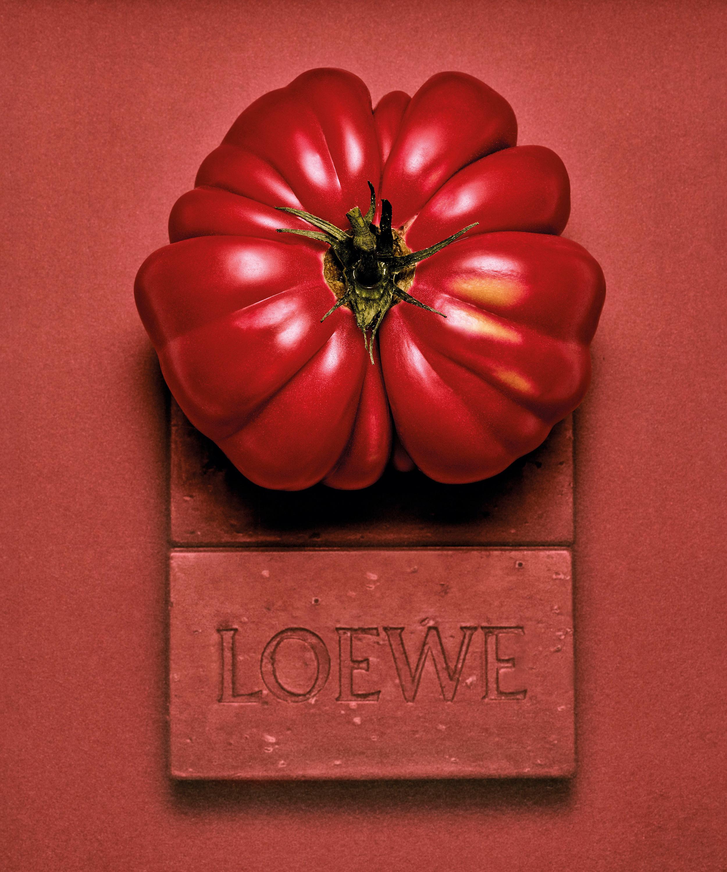 Loewe - Tomato Leaves Solid Soap 290g image number 4