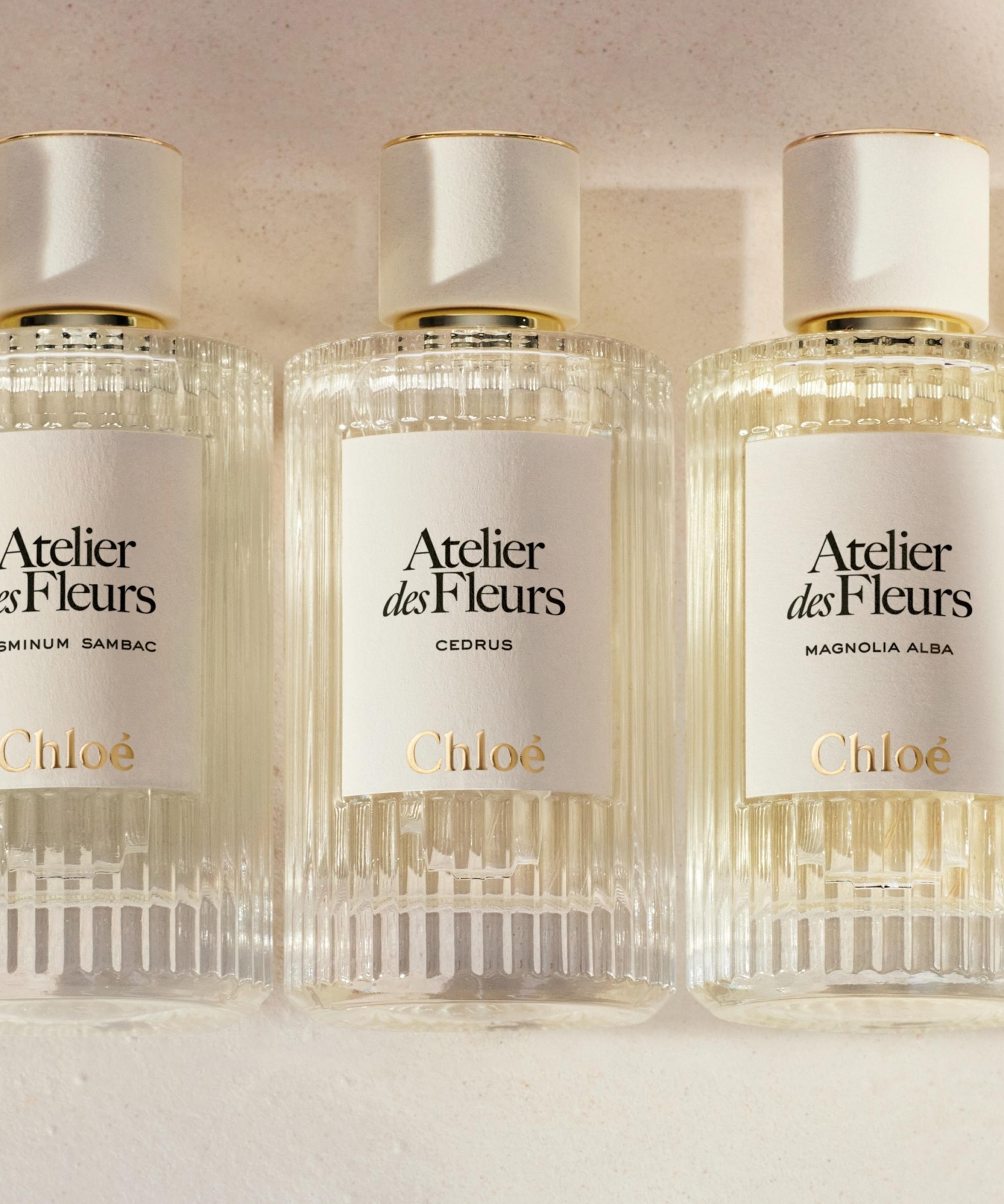 Chloé - Atelier des Fleurs Santalum Eau de Parfum 50ml image number 3