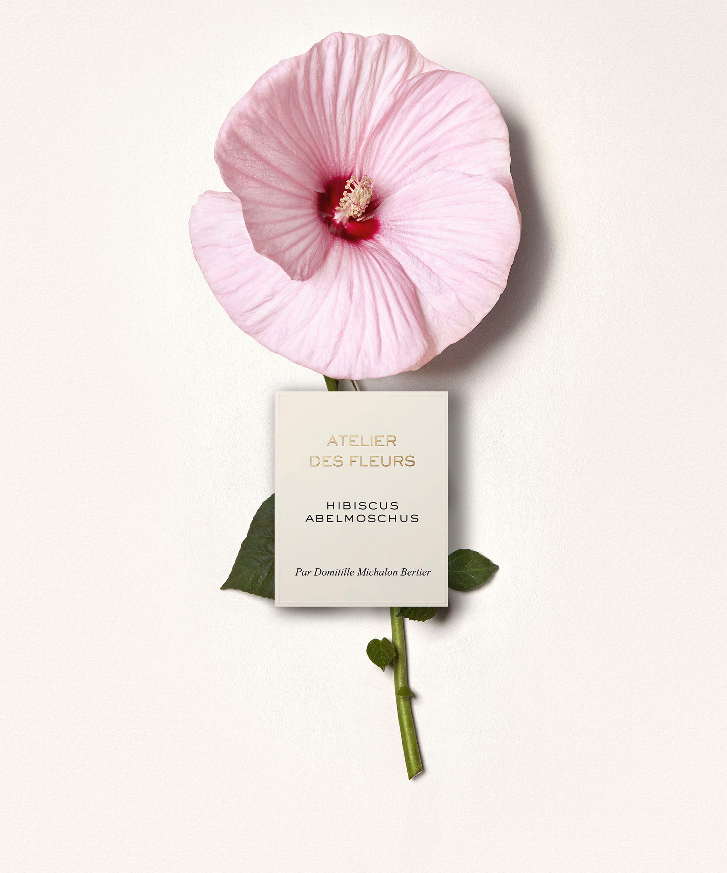 Chloé - Atelier des Fleurs Hibiscus Abelmoschus Eau de Parfum 150ml image number 3