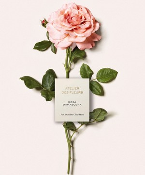 Chloé - Atelier des Fleurs Rosa Damascena Eau de Parfum 150ml image number 3