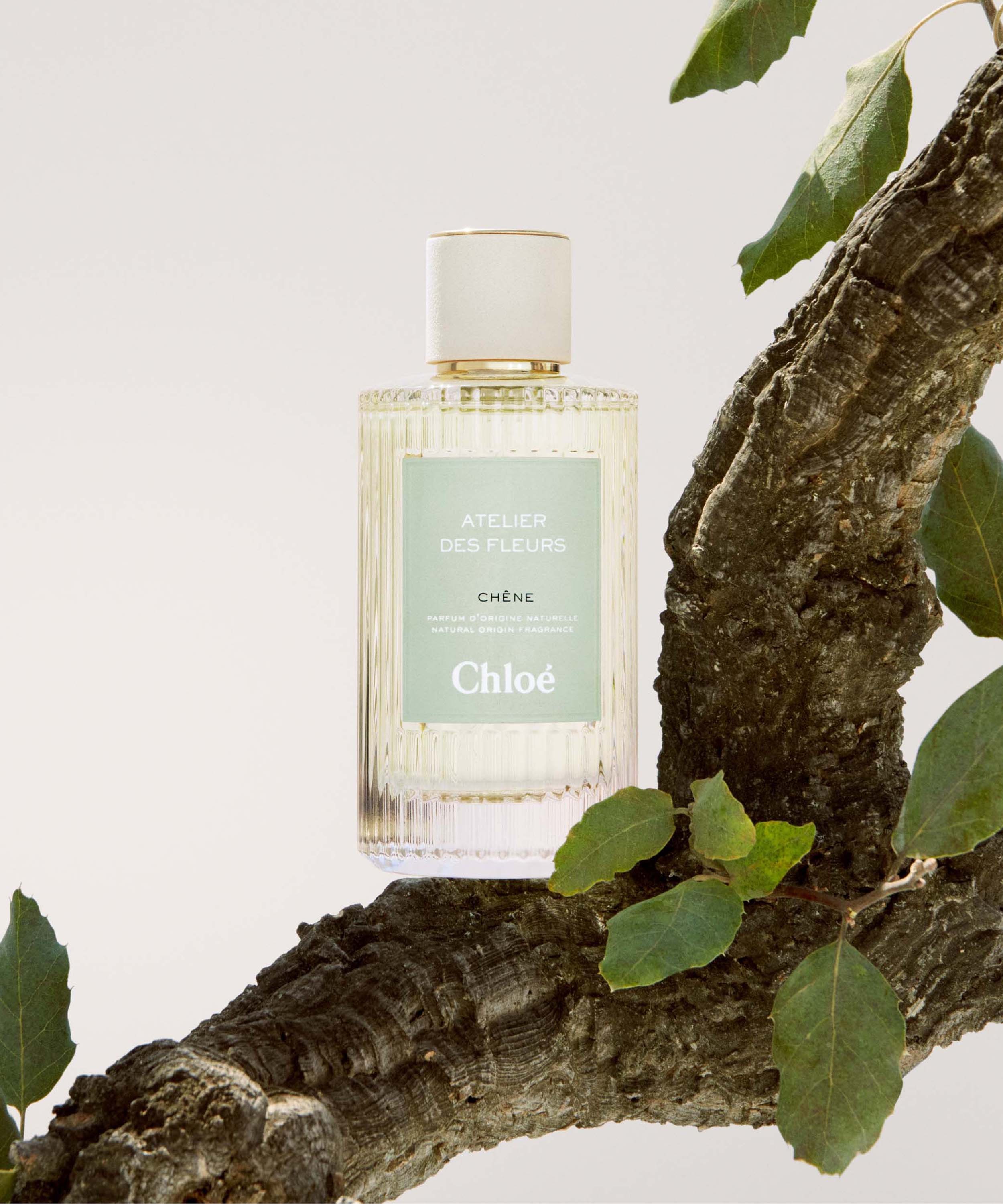 Chloé - Atelier des Fleurs Chêne Eau de Parfum 150ml image number 2