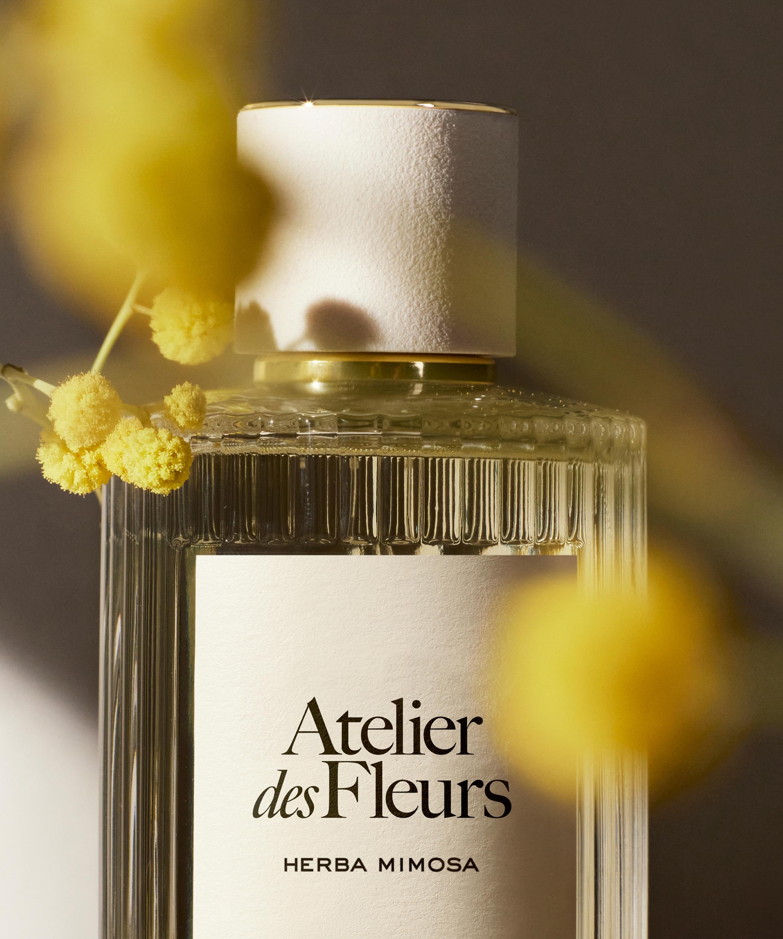 Chloé - Atelier des Fleurs Herba Mimosa Eau de Parfum 150ml image number 1