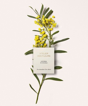 Chloé - Atelier des Fleurs Herba Mimosa Eau de Parfum 150ml image number 3
