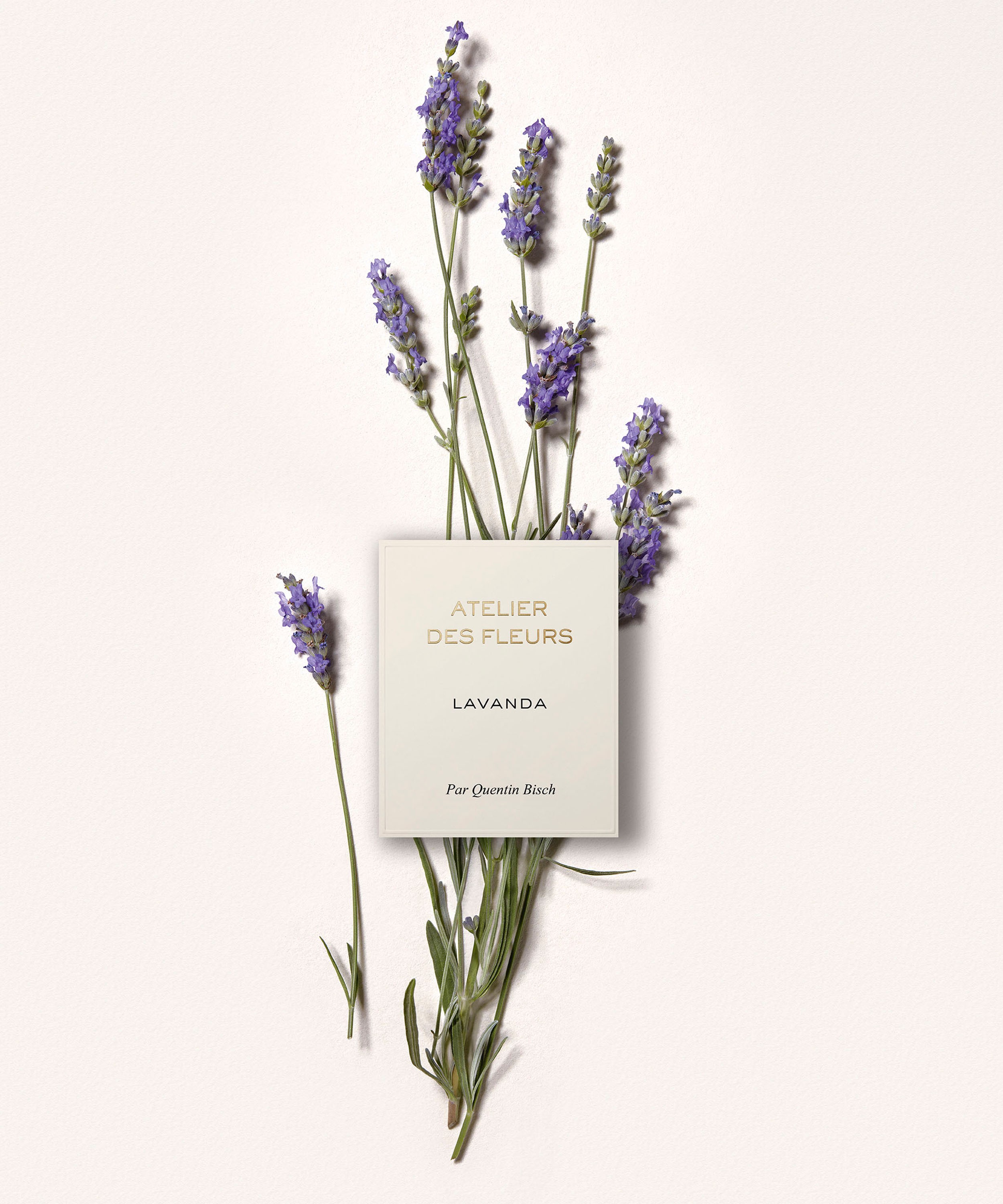Chloé - Atelier des Fleurs Lavanda Eau de Parfum 150ml image number 3