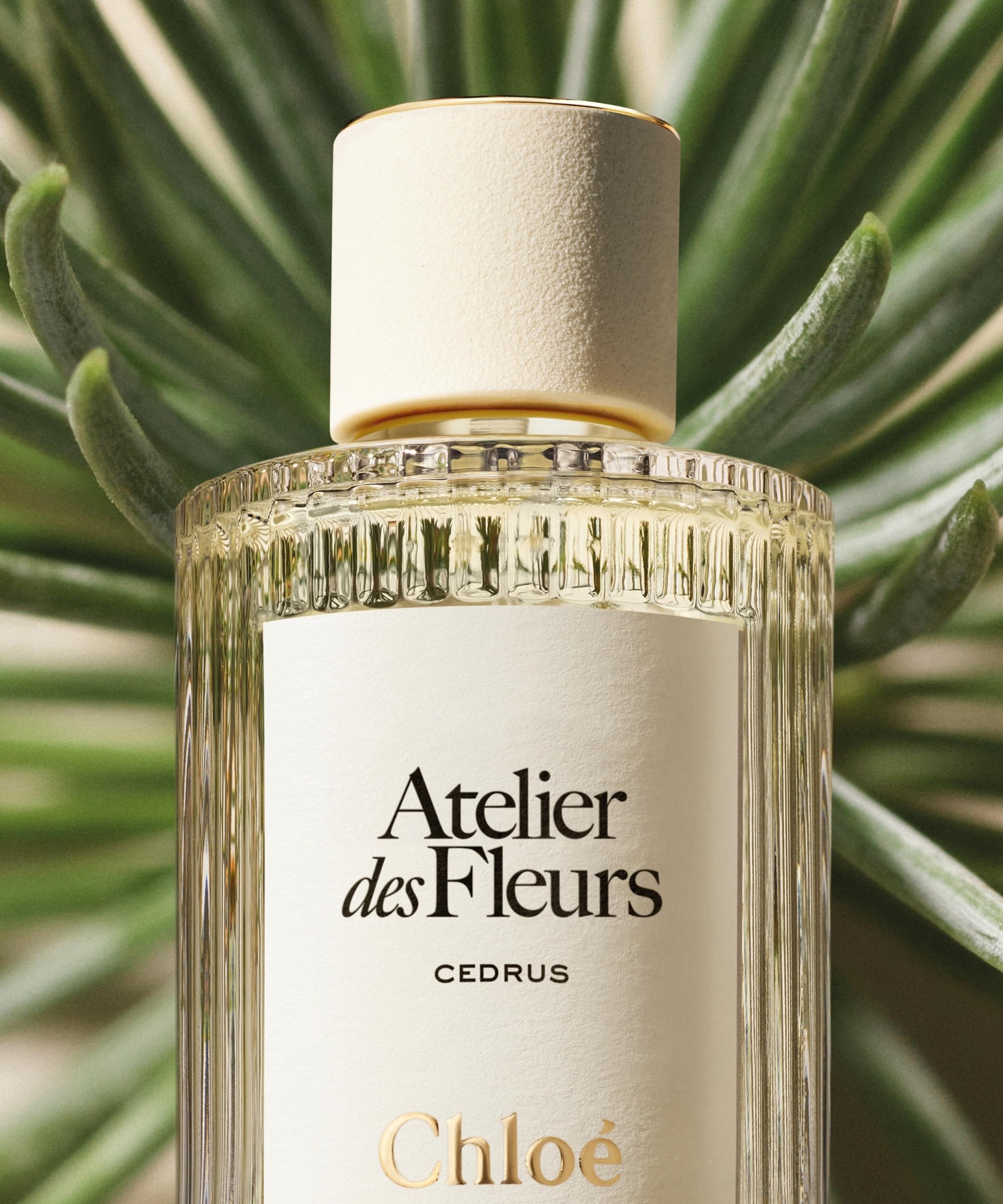 Chloé - Atelier des Fleurs Cedrus Eau de Parfum 150ml image number 2