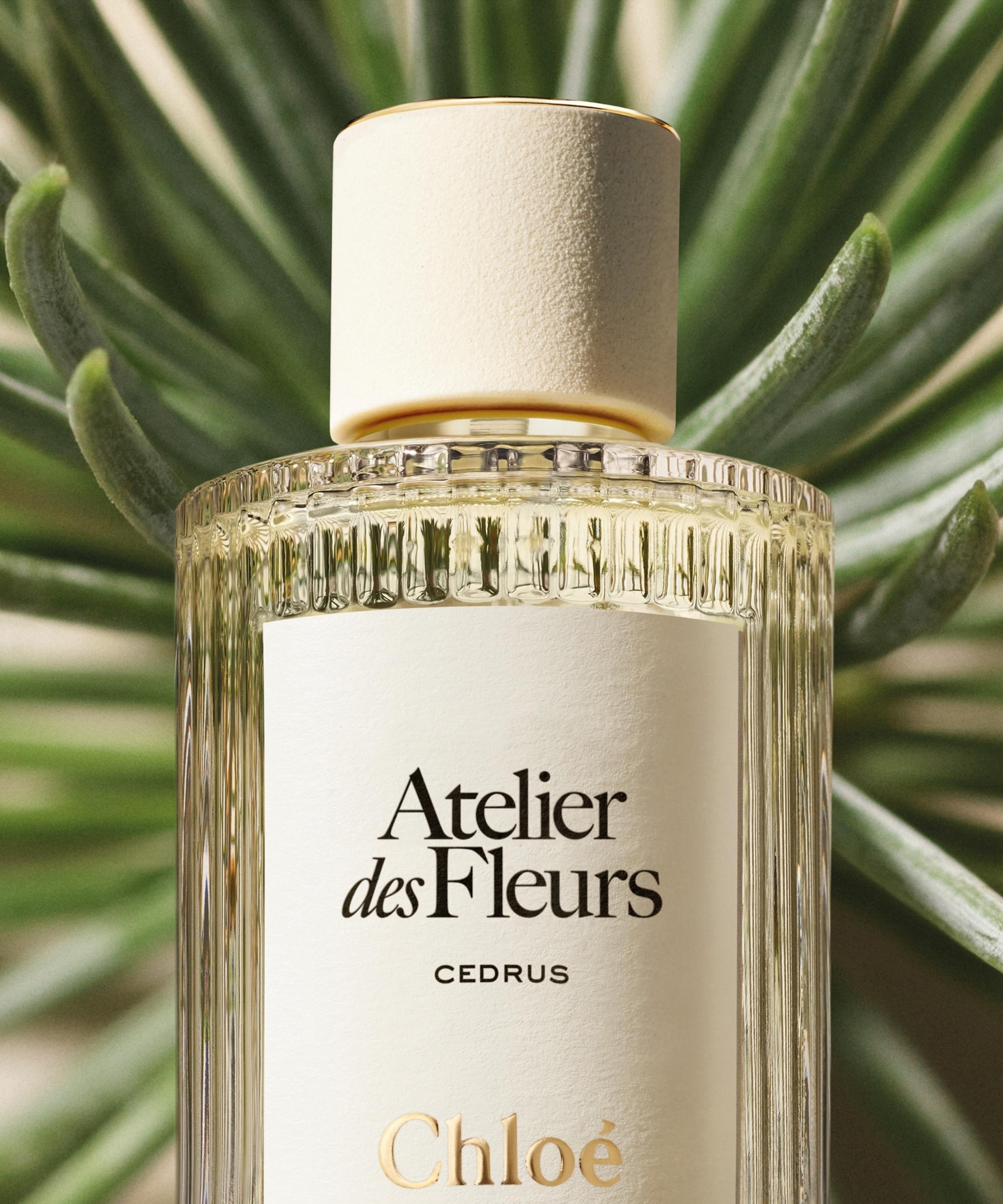 Chloé - Atelier des Fleurs Cedrus Eau de Parfum 50ml image number 2