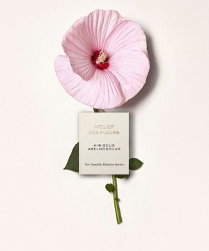 Chloé - Atelier des Fleurs Hibiscus Abelmoschus Eau de Parfum 50ml image number 3