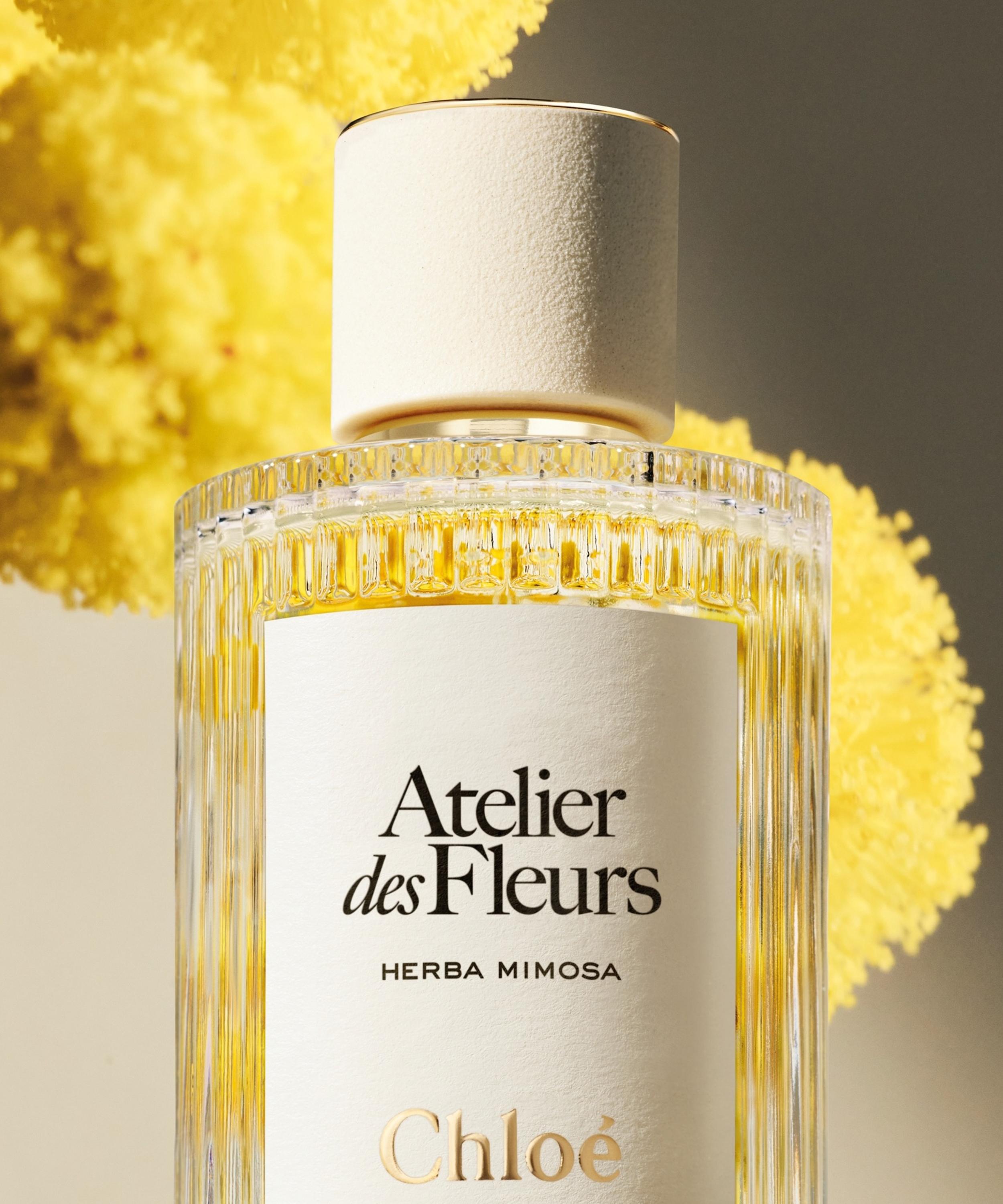 Chloé - Atelier des Fleurs Herba Mimosa Eau de Parfum 50ml image number 2