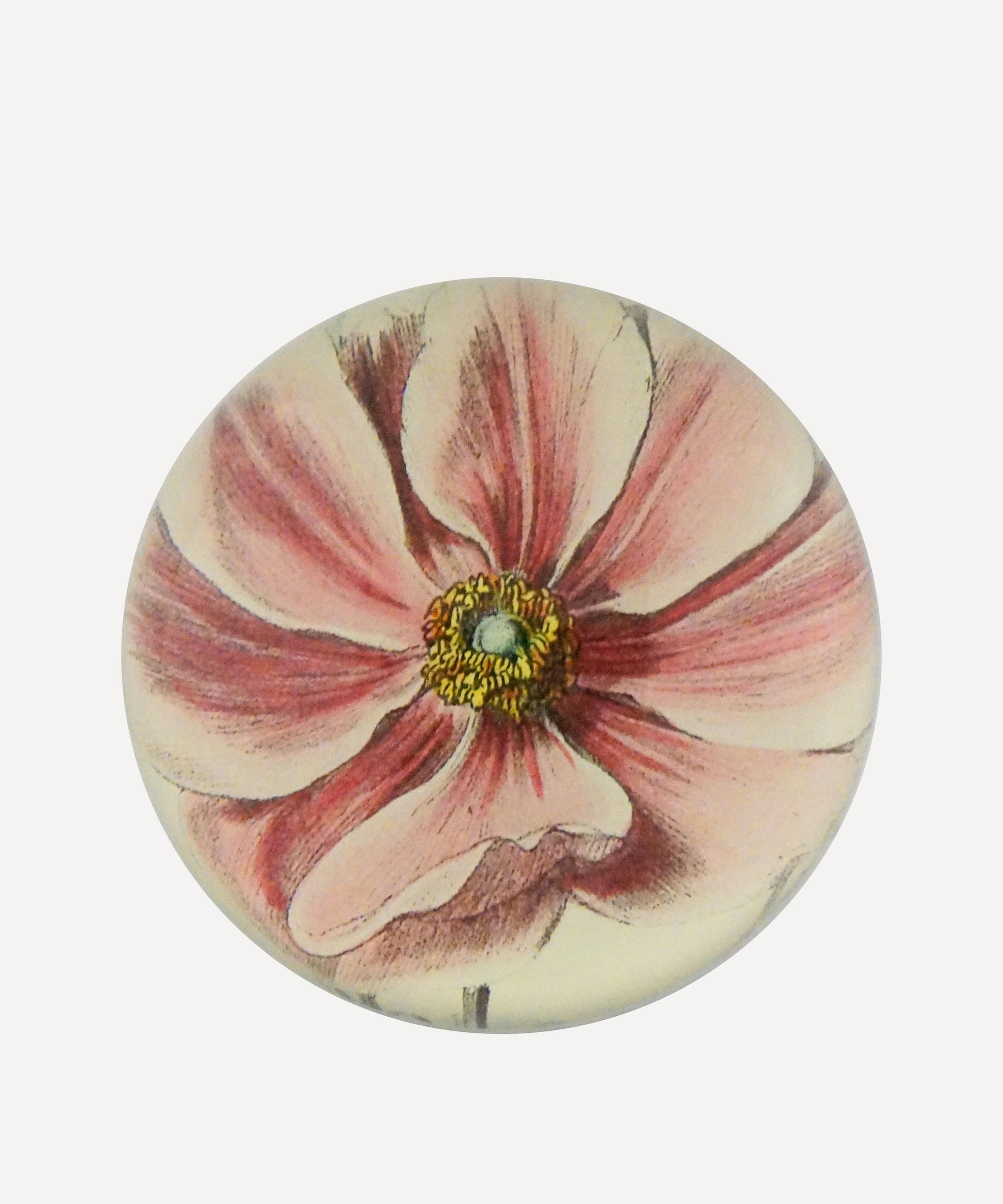 John Derian - Anemone Japonica Dome Paperweight image number 0