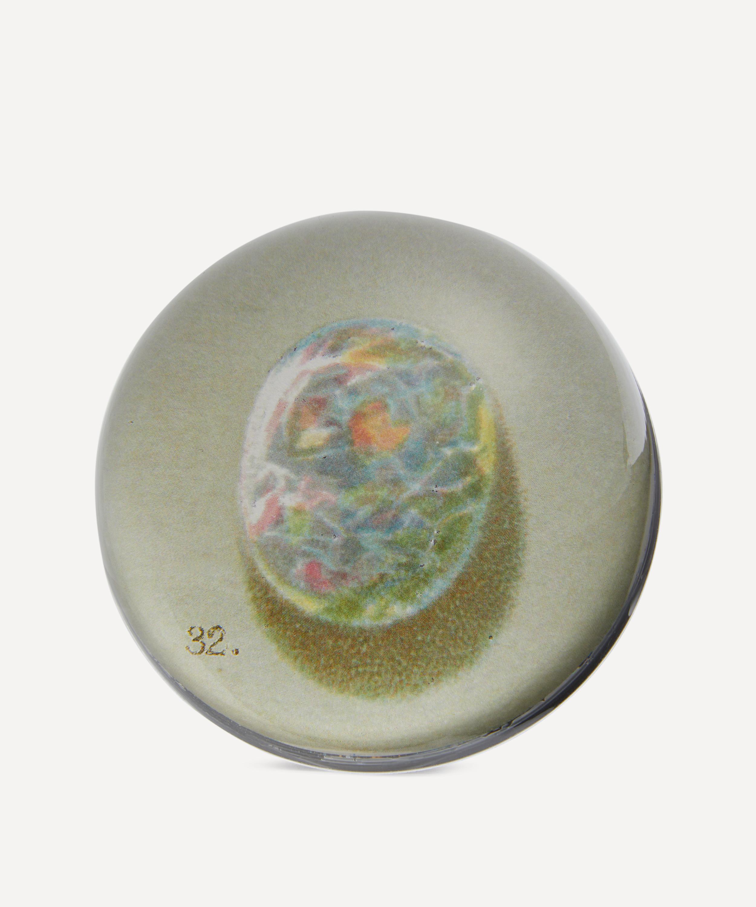 John Derian - Fire Opal Dome Paperweight image number 0