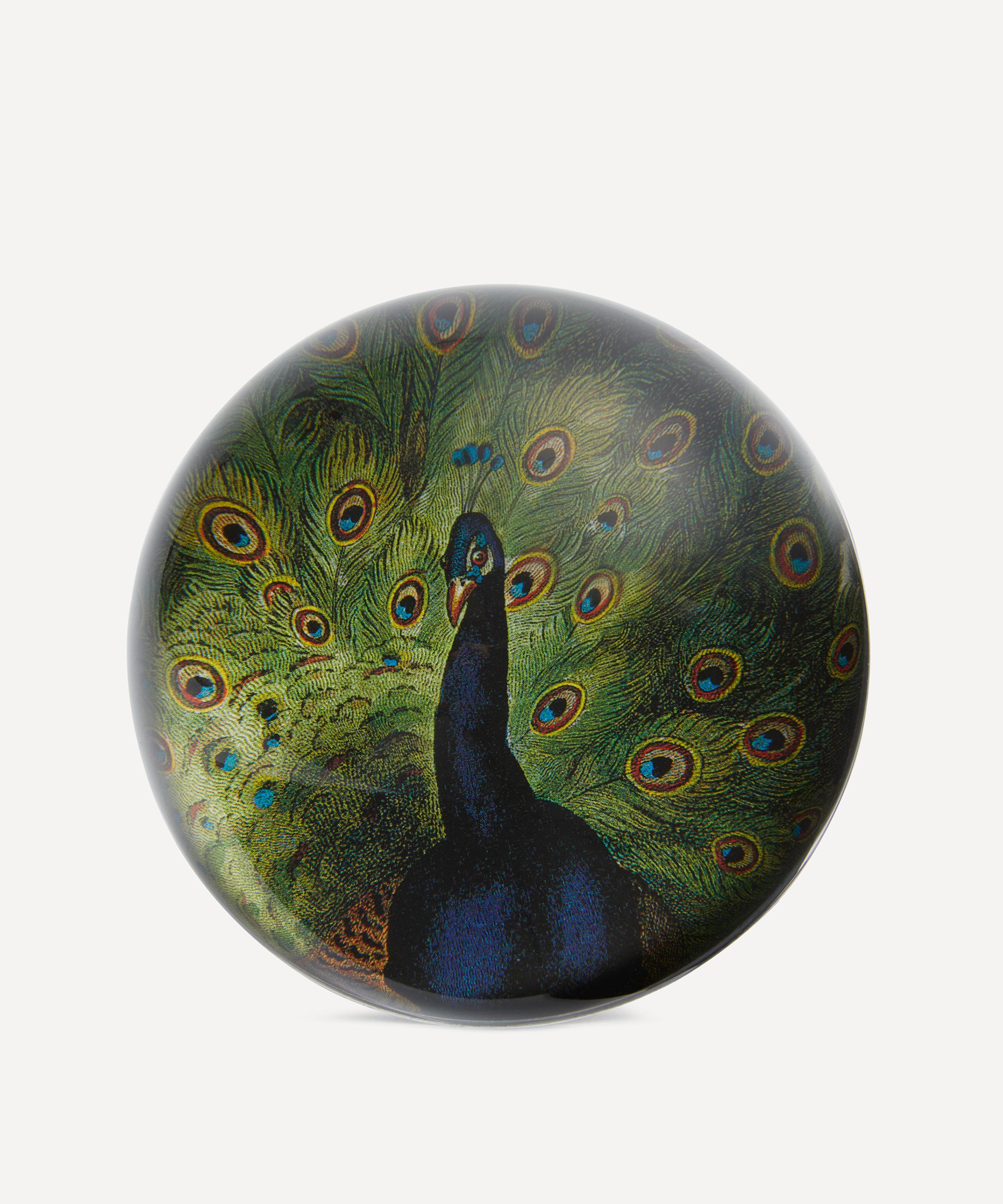 John Derian - Peacock Close-Up Dome Paperweight image number 0