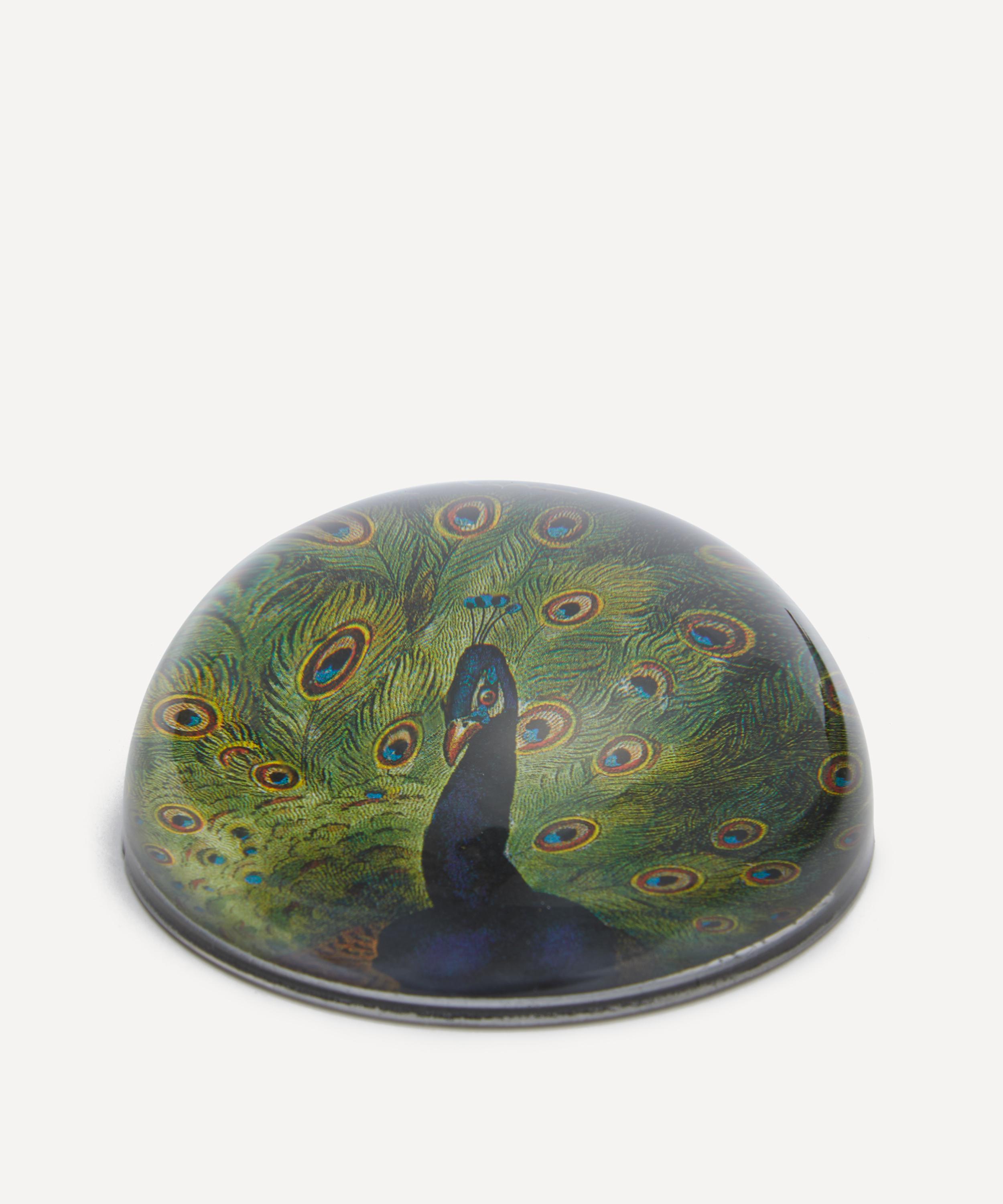 John Derian - Peacock Close-Up Dome Paperweight image number 1