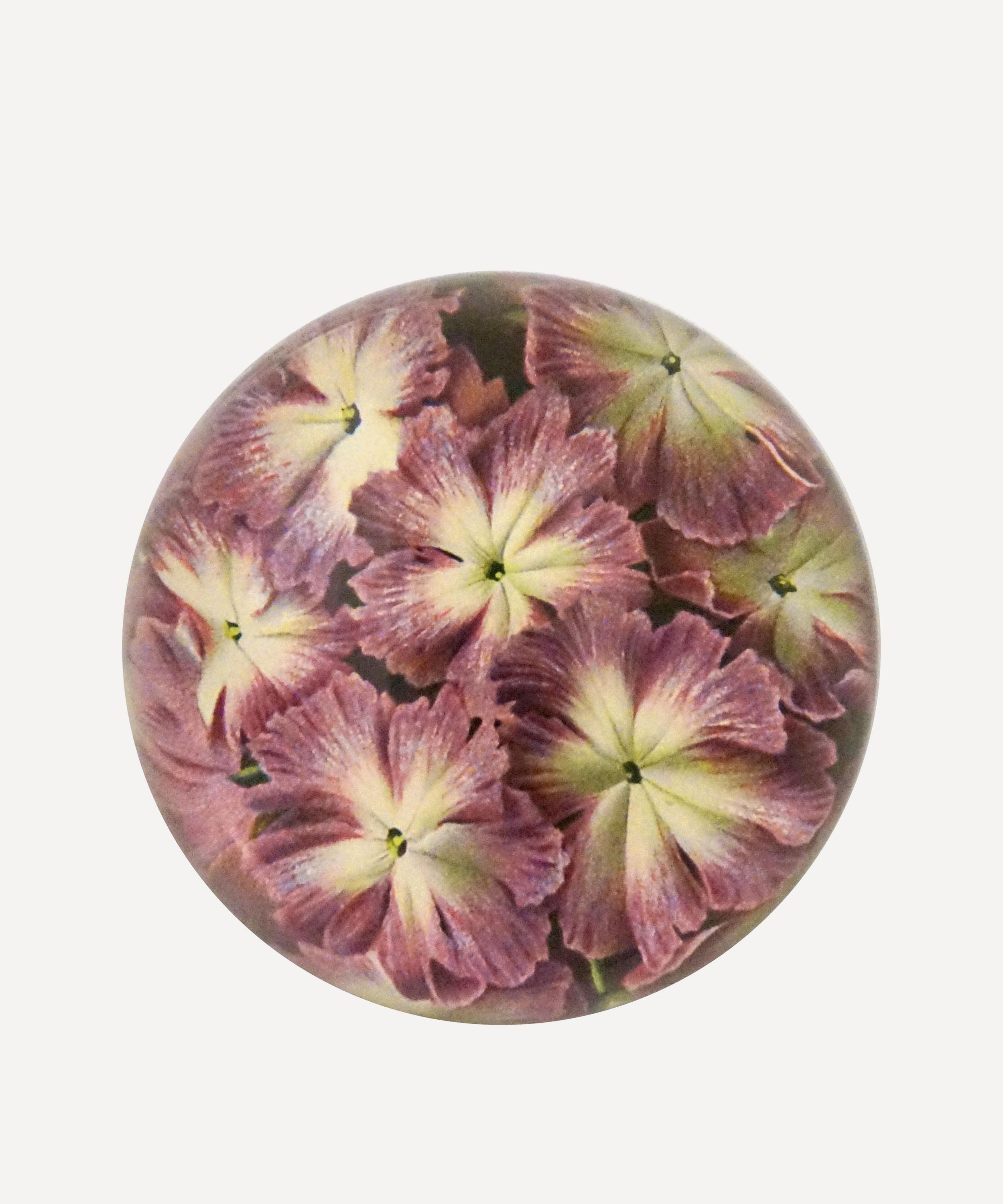 John Derian - Primula Cortusoides Dome Paperweight image number 0