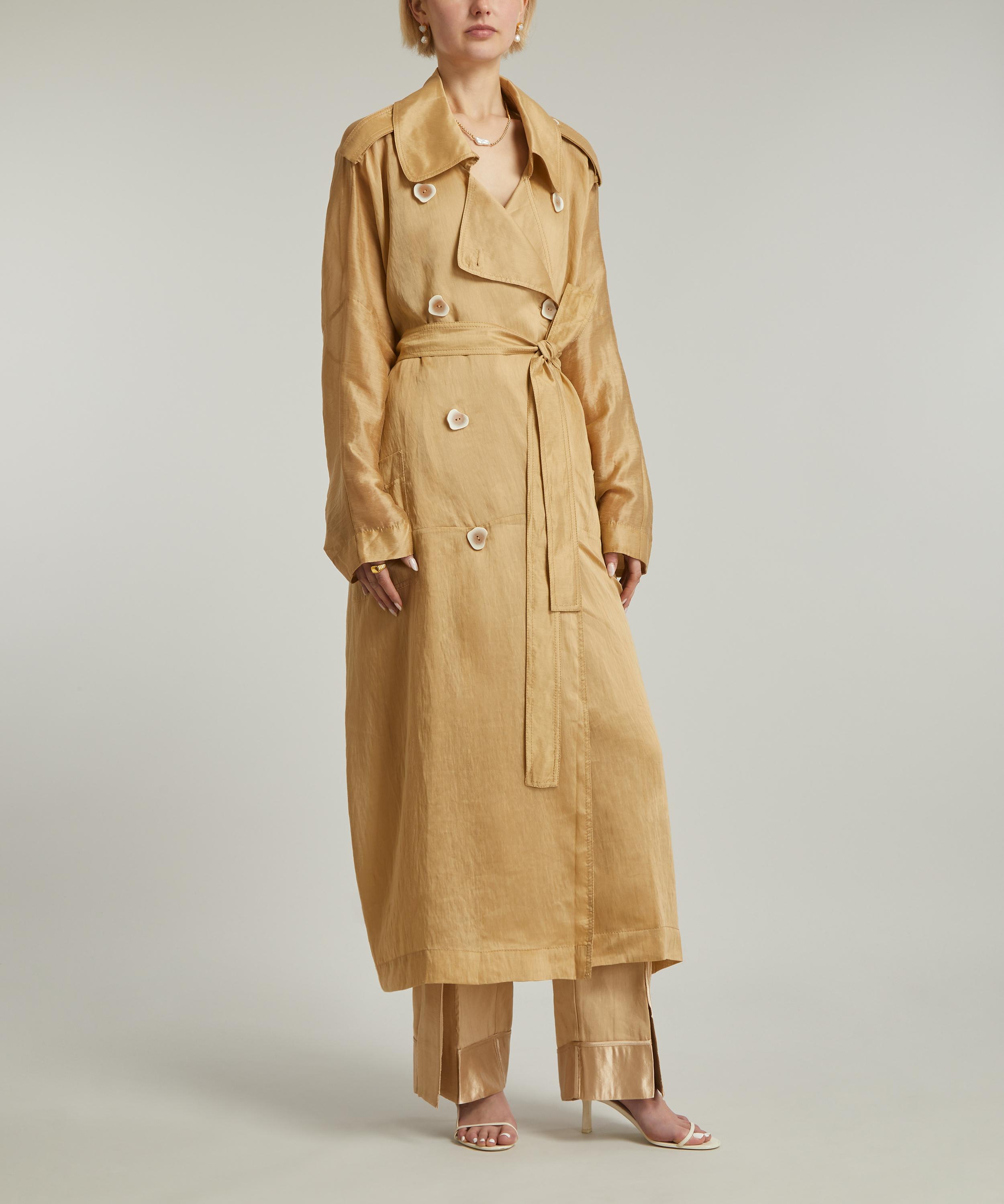 Aje - Harmony Oversized Sheer Coat image number 2