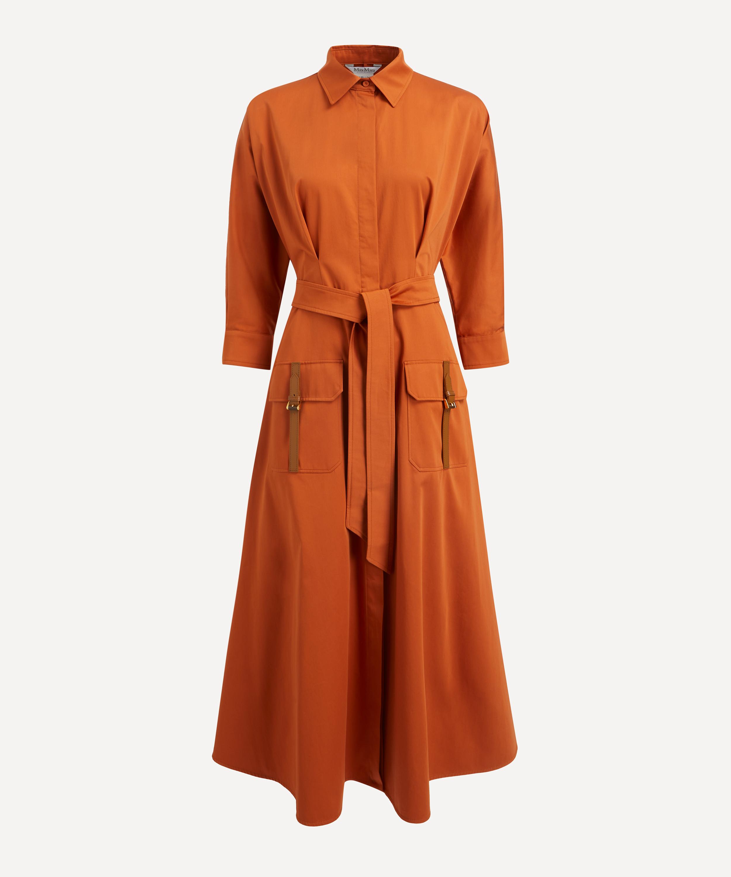 Max Mara - Belted Sibari Dress image number 0