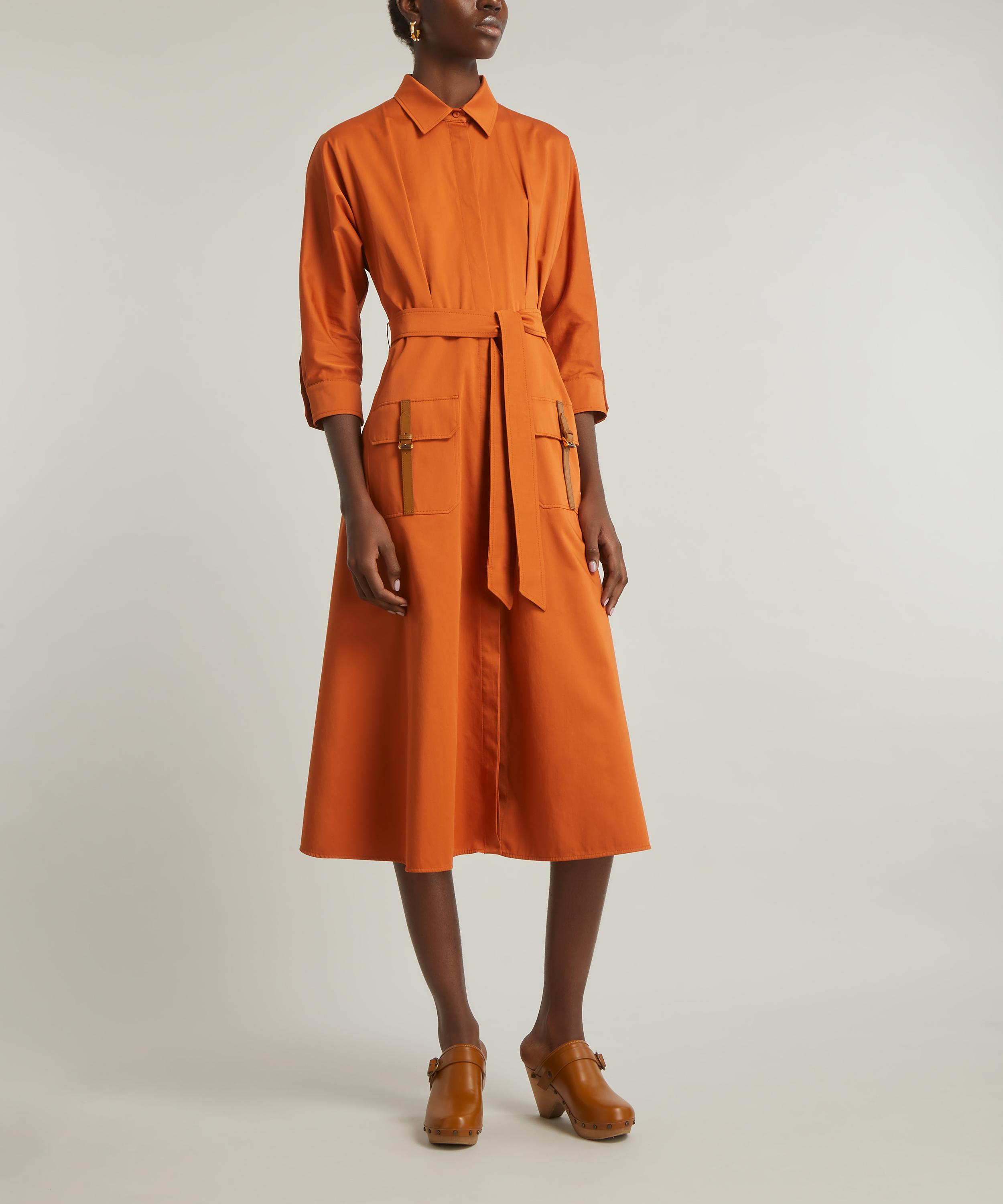 Max Mara - Belted Sibari Dress image number 2