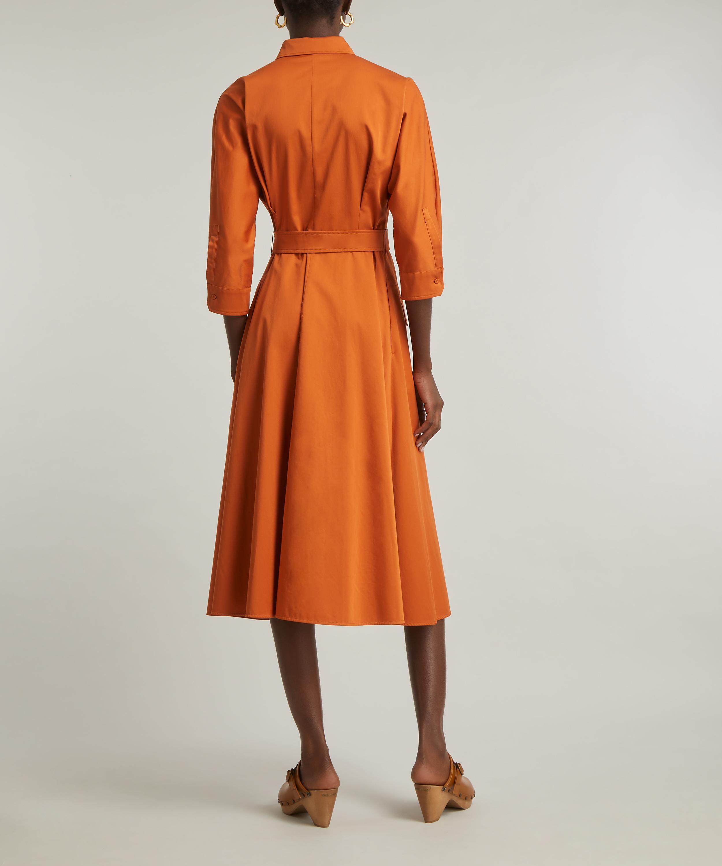 Max Mara - Belted Sibari Dress image number 3