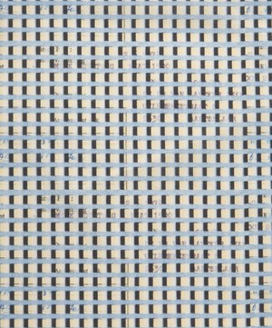 Liberty Fabrics - Rastertize Tana Lawn™ Cotton image number 0