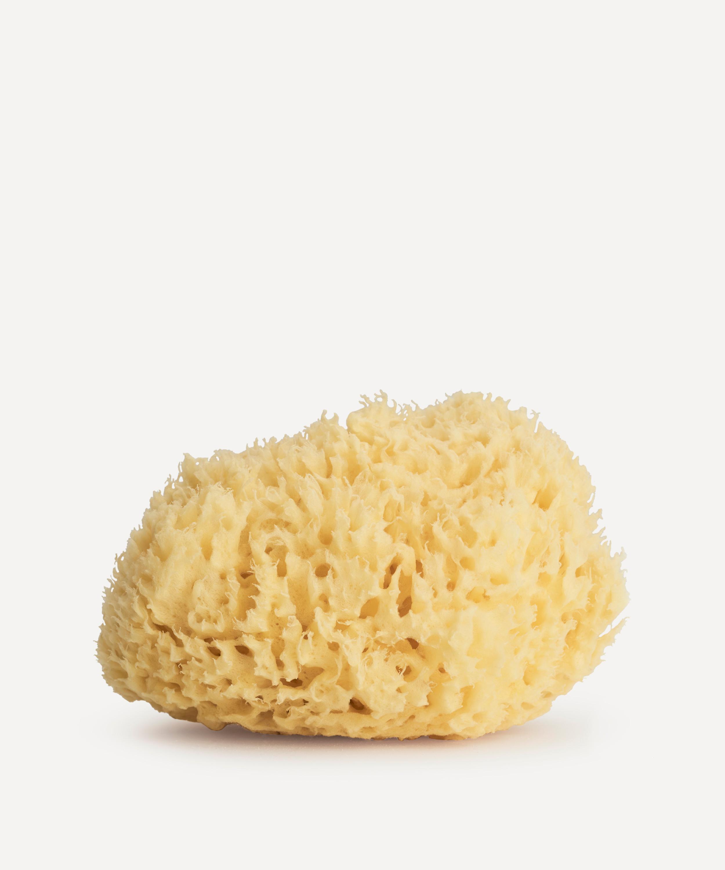 Sevin London - Gold Honeycomb Sponge image number 0