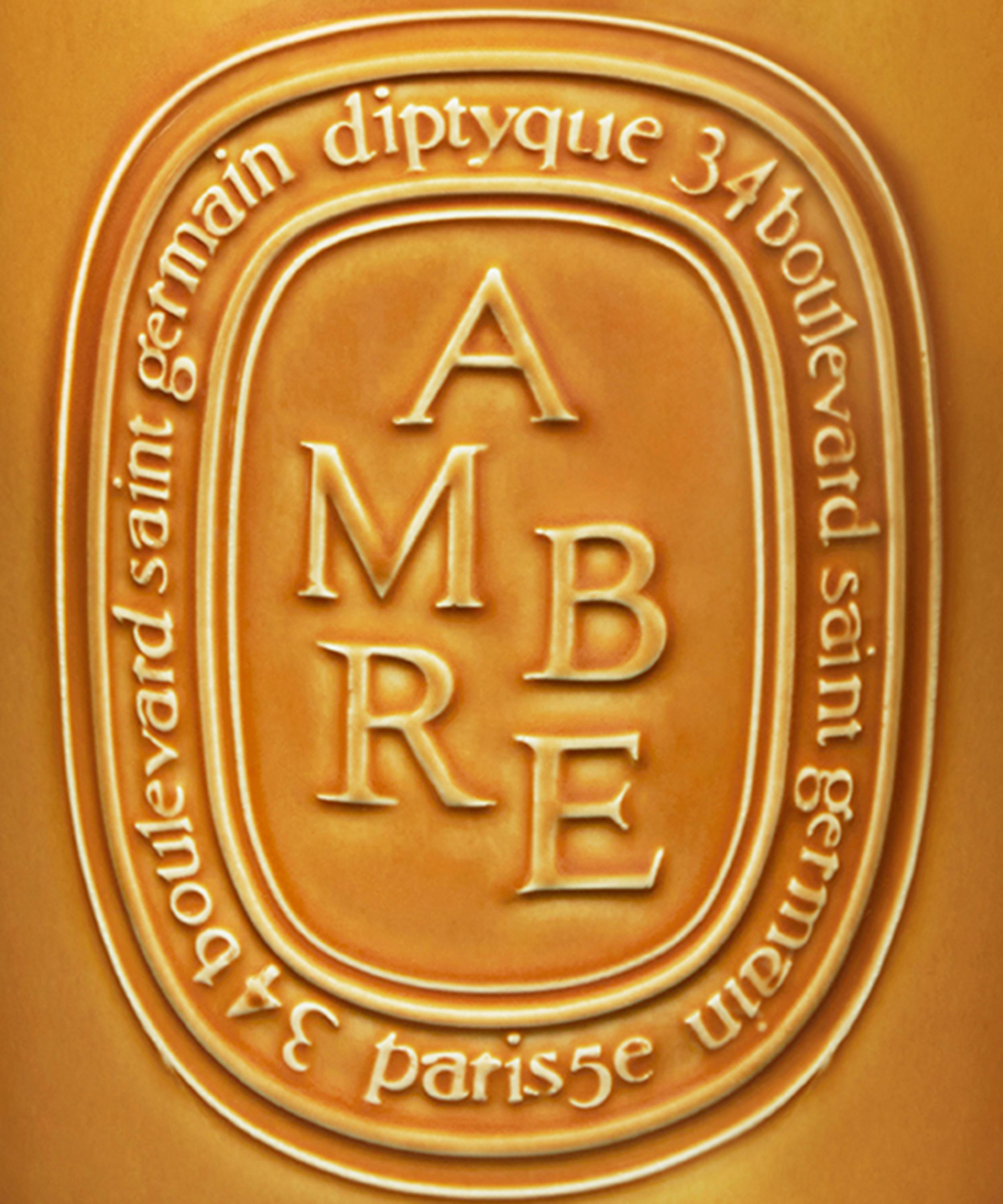 Diptyque - Ambre Five Wick Candle 1500g image number 3