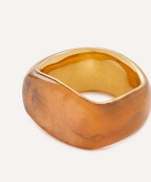 Completedworks - 14ct Gold-Plated Vermeil Silver A Virtuous Circle Tortoise Shell Ring image number 1