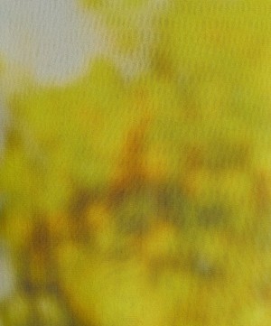 Acne Studios - Sleeveless Blurred Landscape Maxi-Dress image number 4