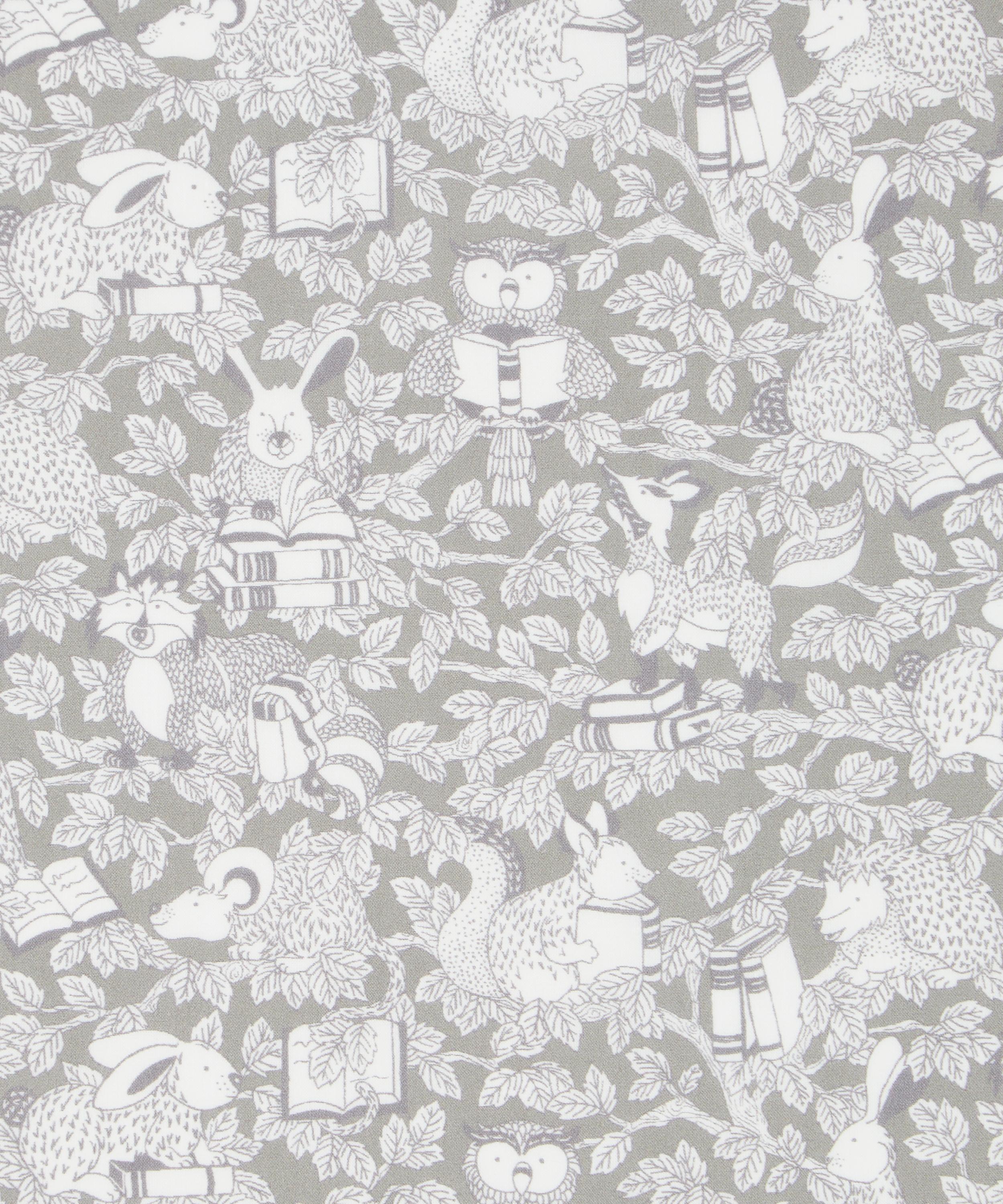 Liberty Fabrics - Woodland Library Organic Tana Lawn™ Cotton image number 0