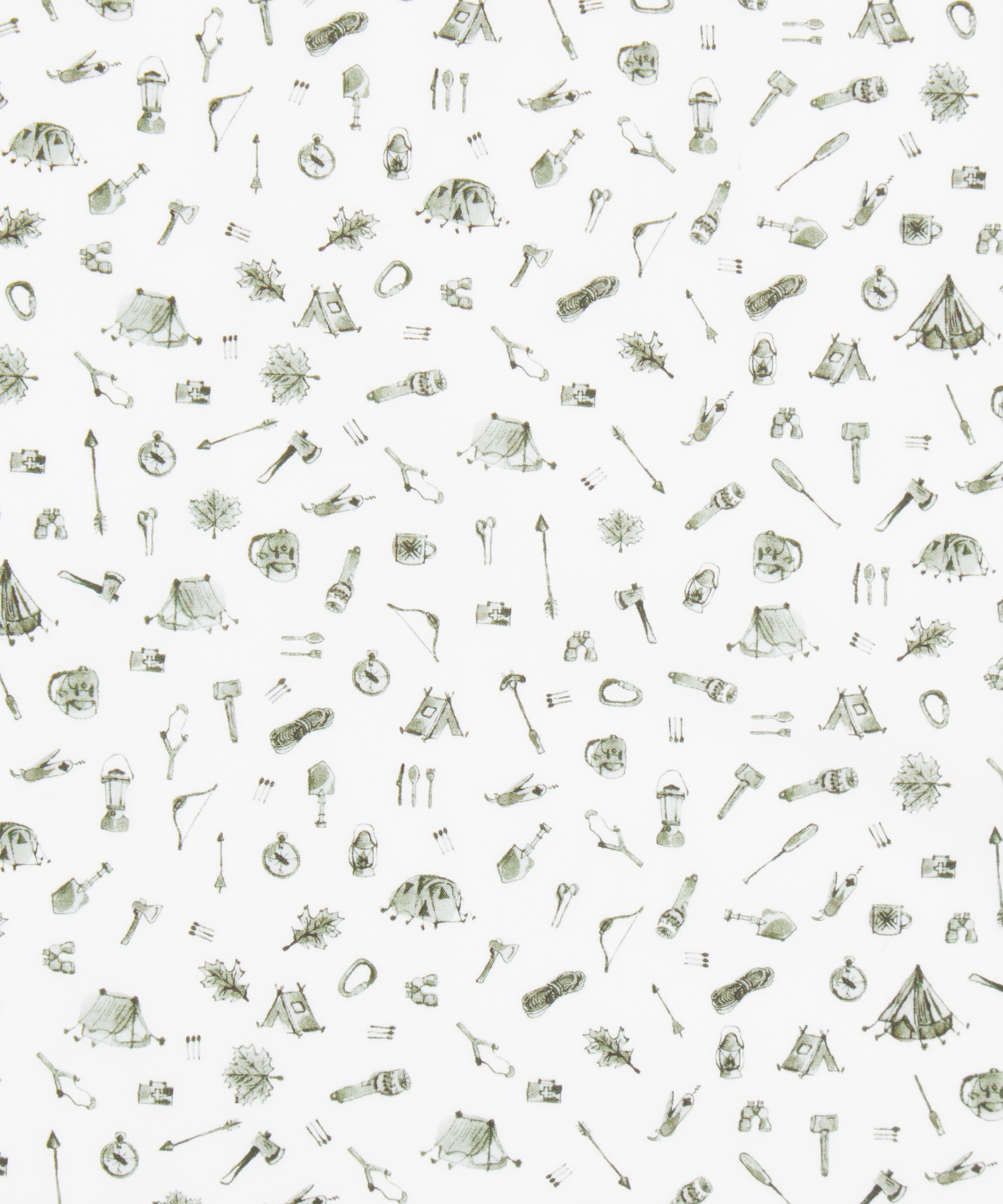 Liberty Fabrics - Ernest&rsquo;s Camp Cotton Poplin image number 0