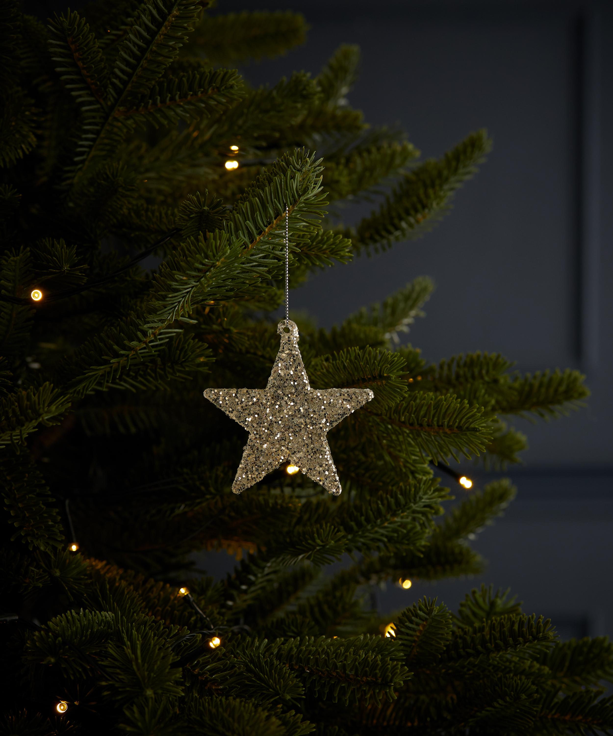 Christmas - Star Ornament image number 1